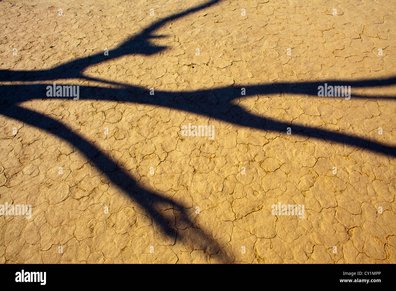 Sossusvlei (dead valley) nel Parco Namib-Naukluft, Namibia Foto Stock