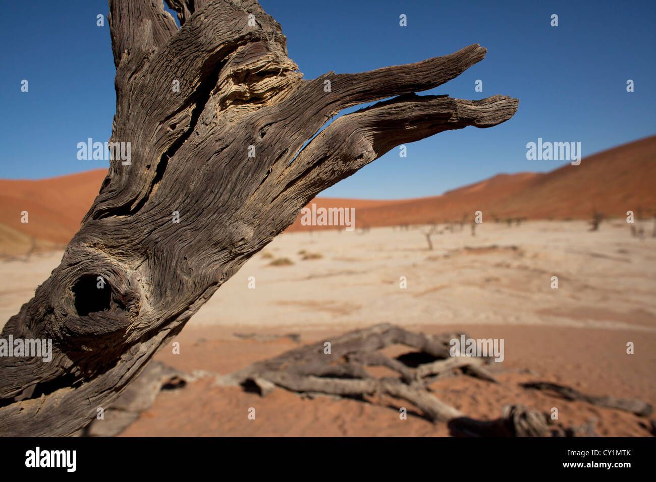 Sossusvlei (dead valley) nel Parco Namib-Naukluft, Namibia Foto Stock