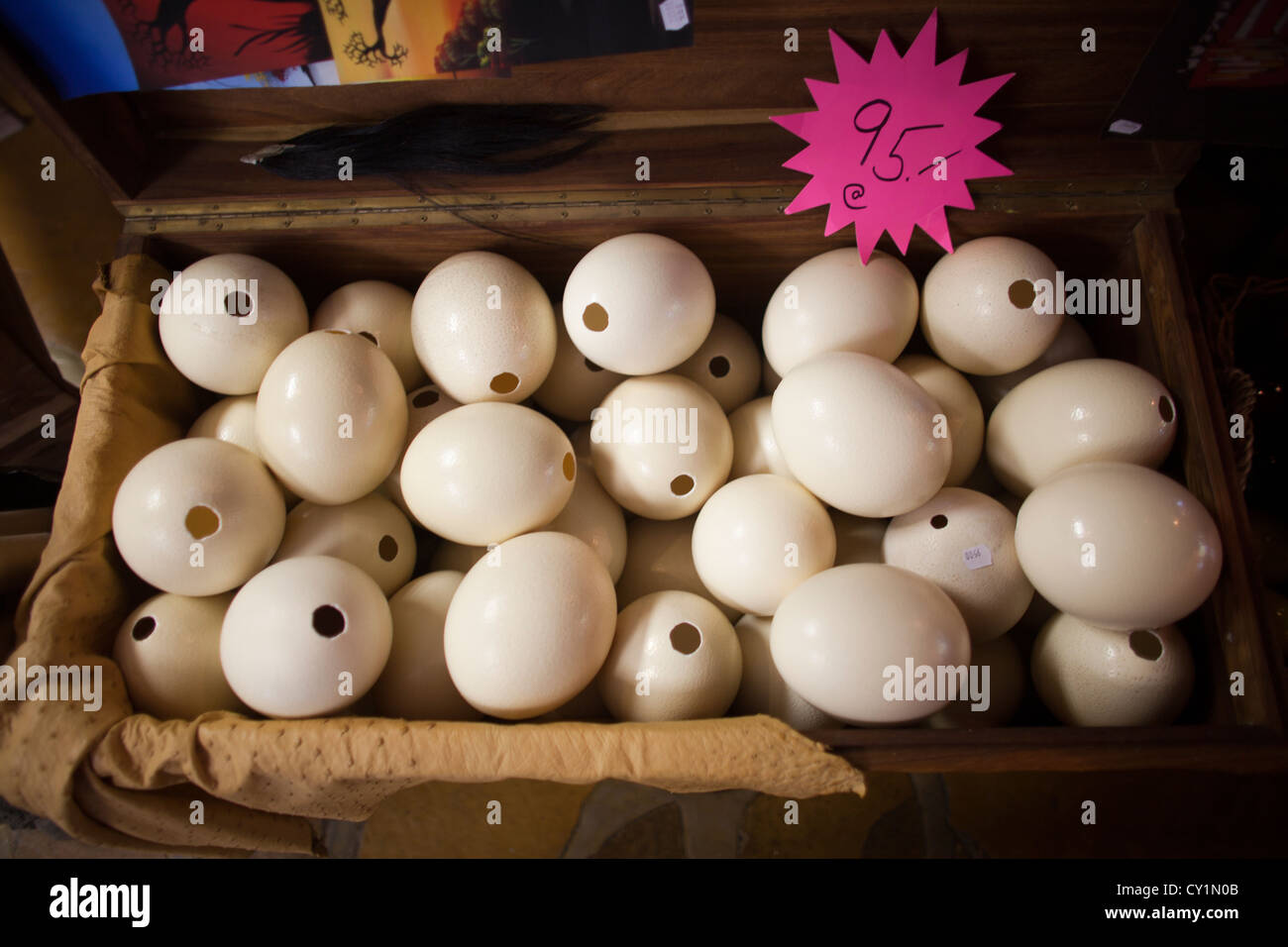 Sud Africa Africa 95 uova uovo di struzzo souvenir o Foto Stock