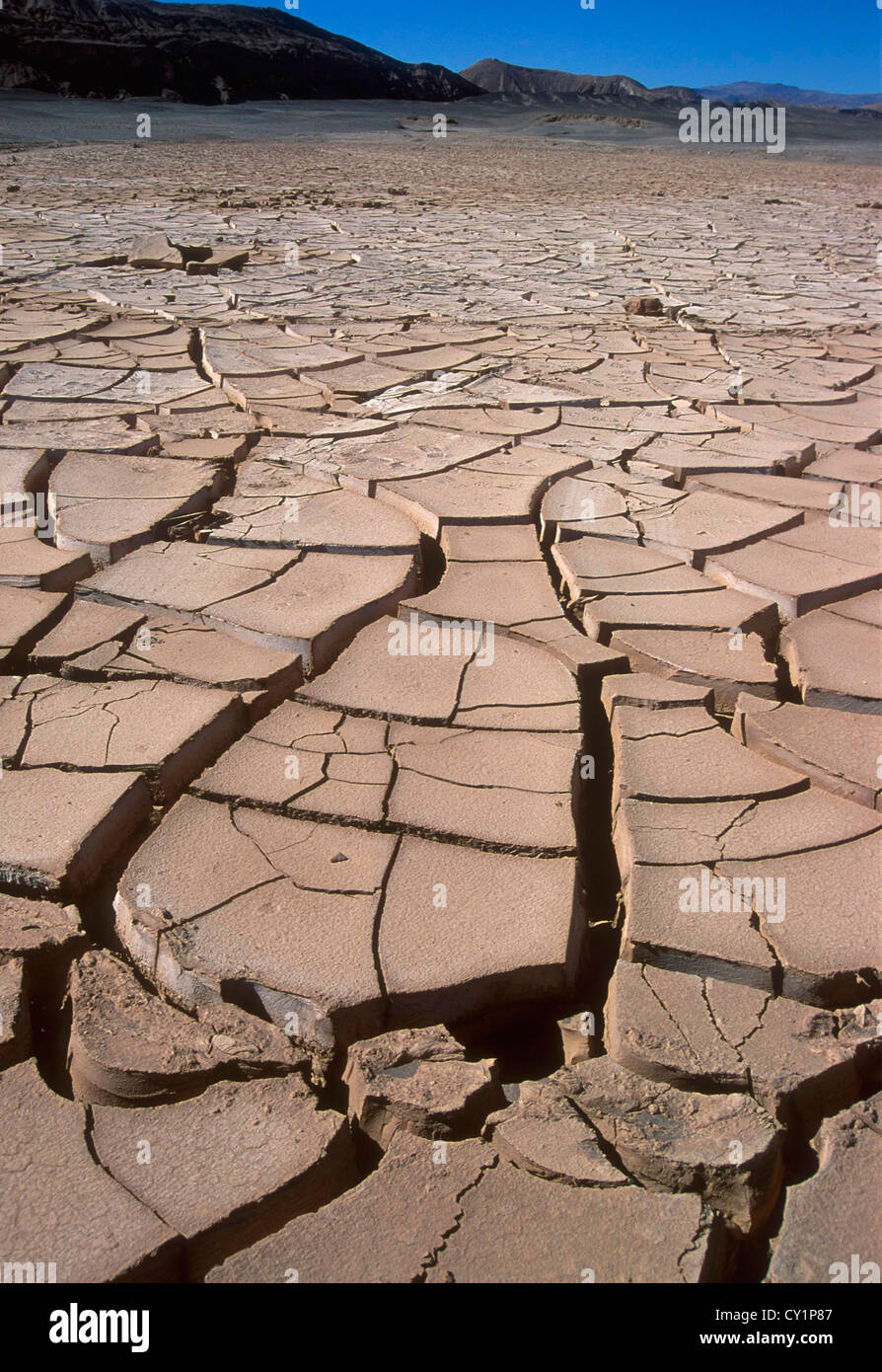 Secche e screpolate suolo, siccità. Deserto di Atacama, Cile, America del Sud. Foto Stock