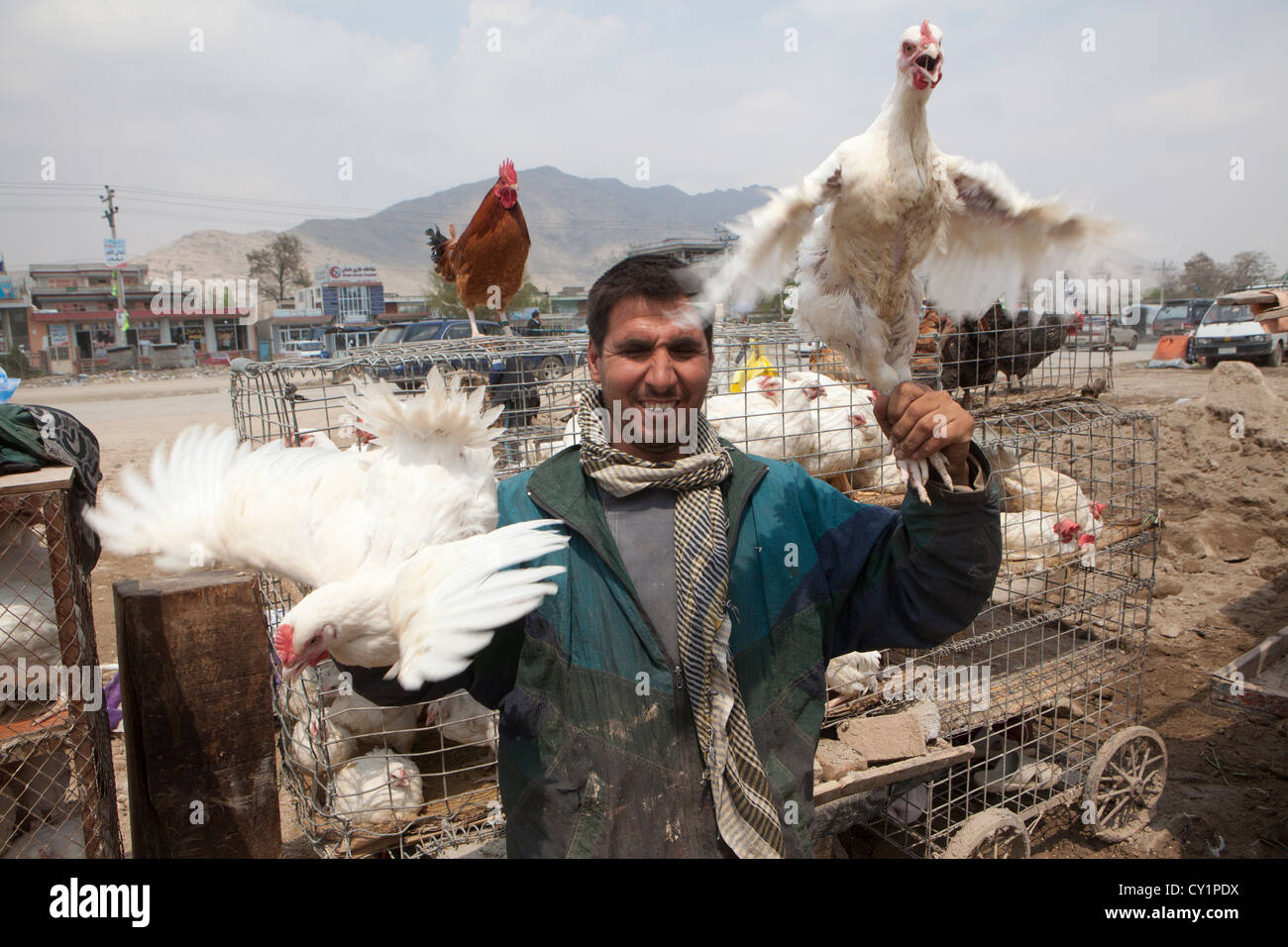 Le vendite di pollo uomo a Kabul, Afghanistan Foto Stock