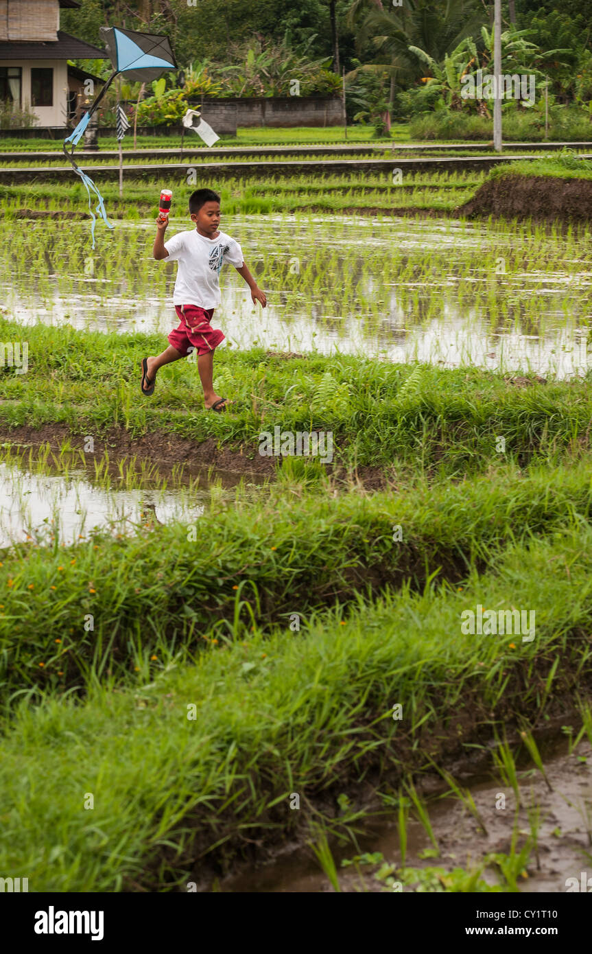 Bambini che giocano con il kite, un hobby preferito di Balinese, bambini, in campi di riso intorno a Ubud, Bali, Indonesia Foto Stock