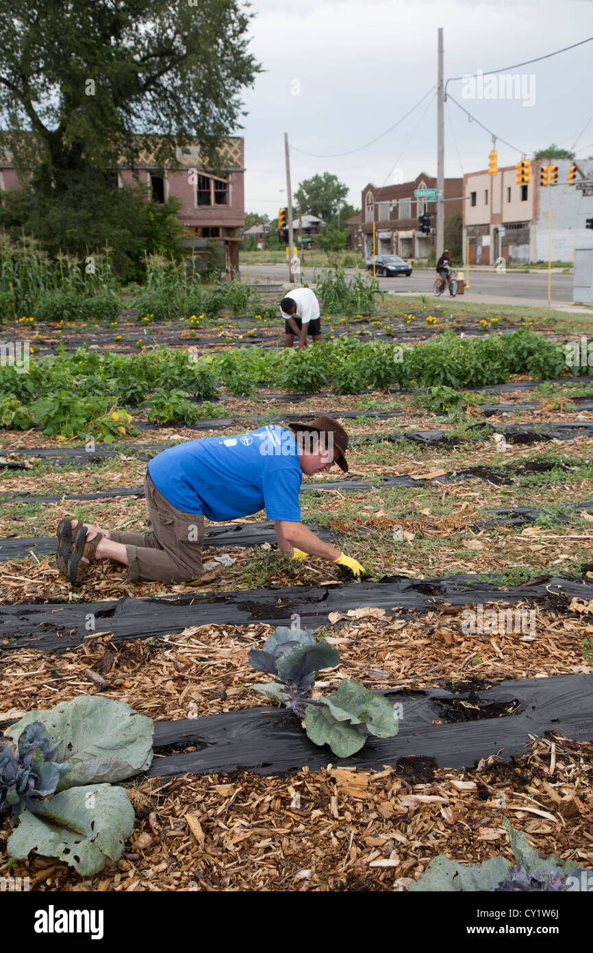 Detroit, Michigan - I volontari della Federazione Americana degli Insegnanti e dalla comunità locale opera in una comunità giardino. Foto Stock