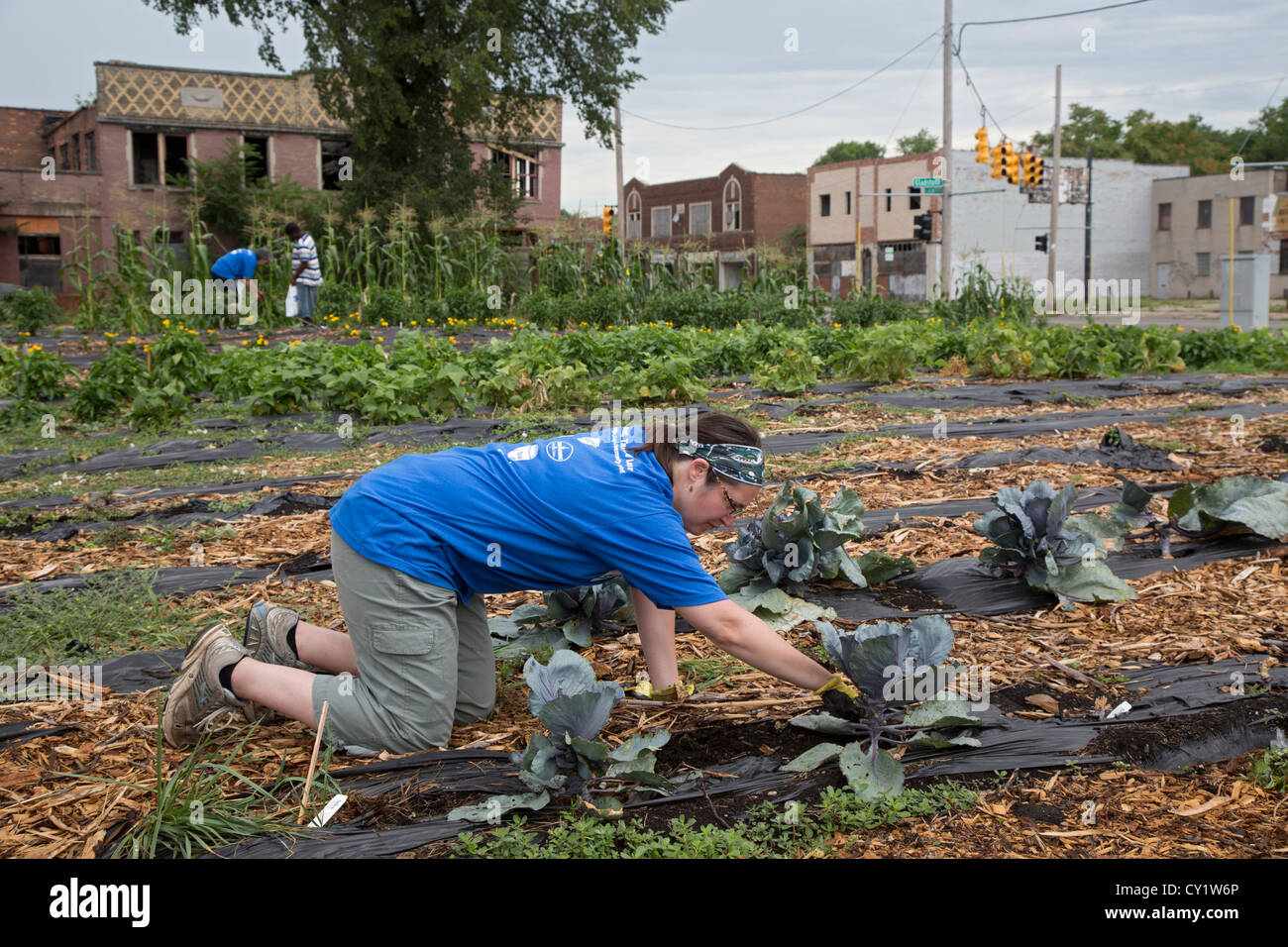 Detroit, Michigan - I volontari della Federazione Americana degli Insegnanti e dalla comunità locale opera in una comunità giardino. Foto Stock