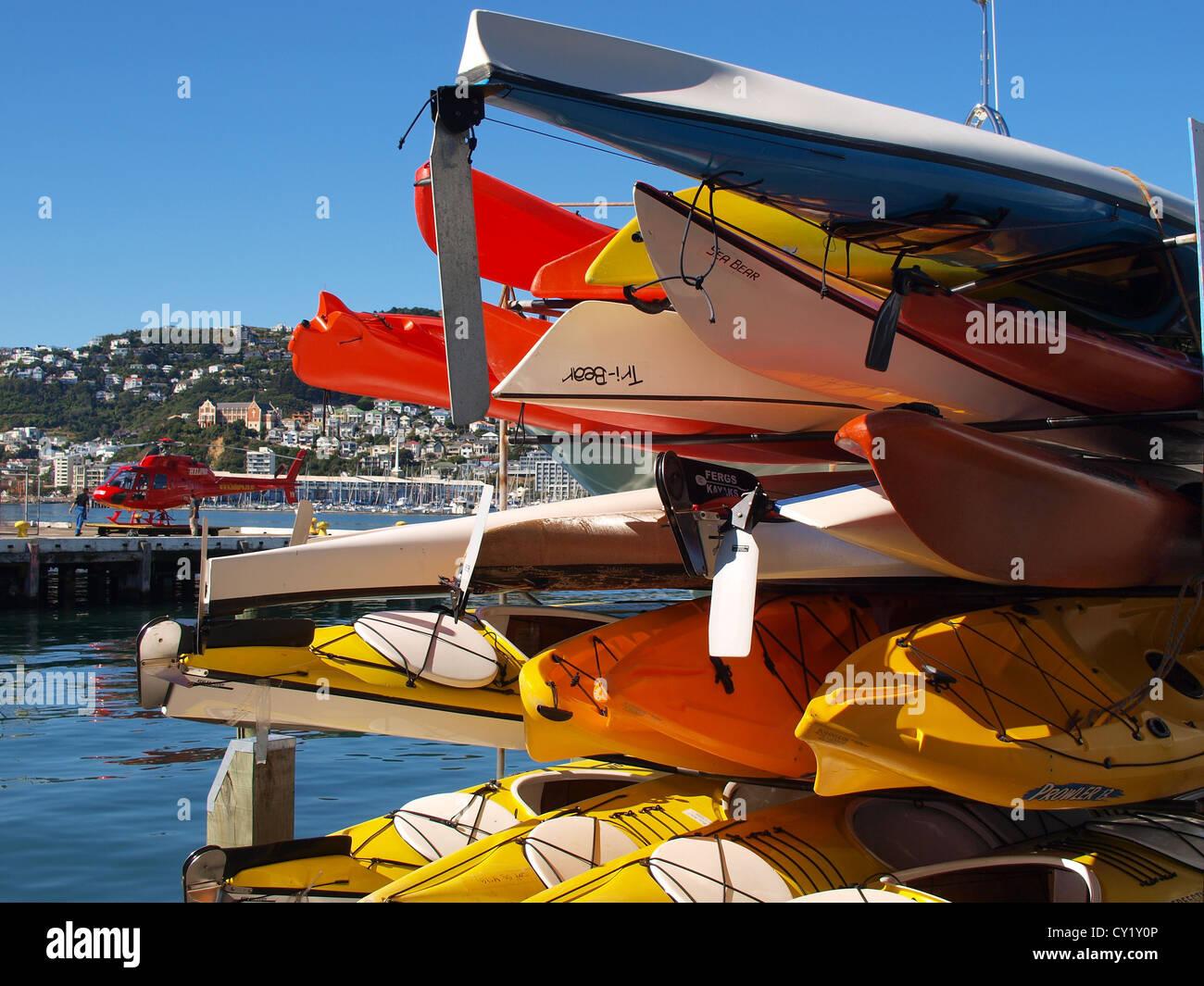 Kayaks, Queens Wharf, Wellington, Nuova Zelanda Foto Stock