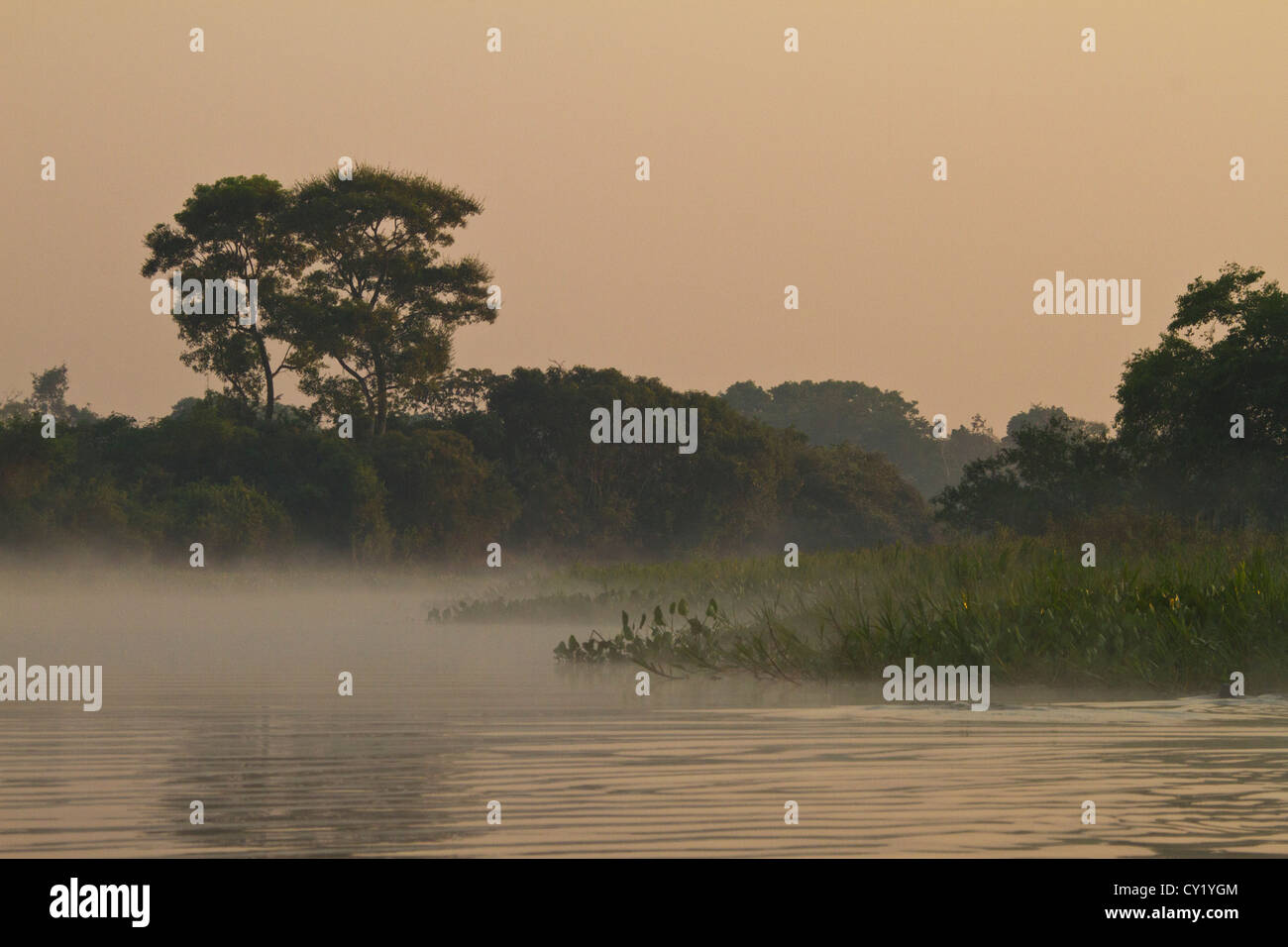 La nebbia sul fiume Cuiaba, Pantanal, Brasile Foto Stock