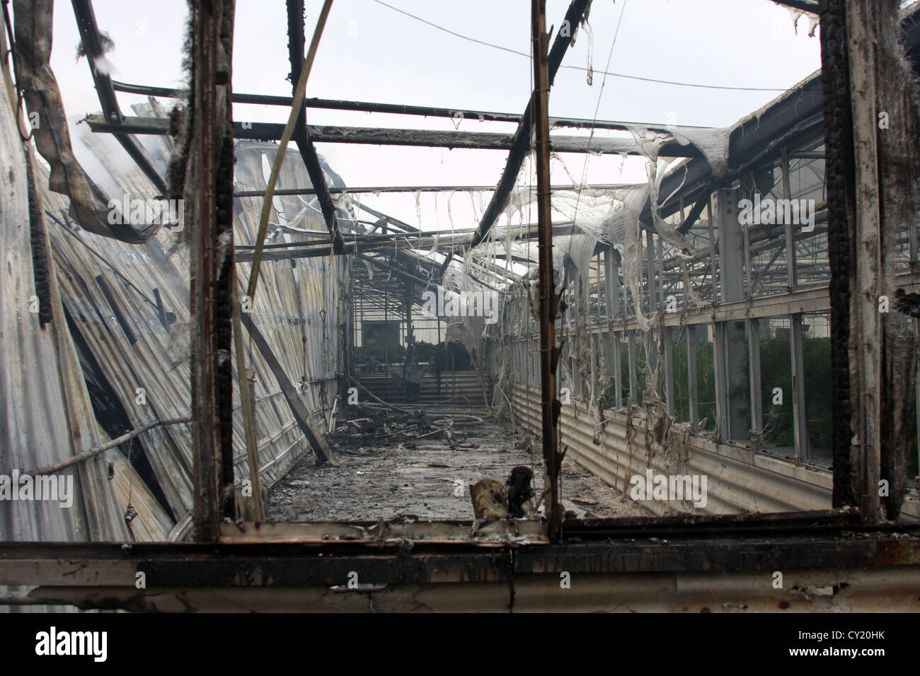 Una serra bruciato edificio con plastica fusa Foto Stock