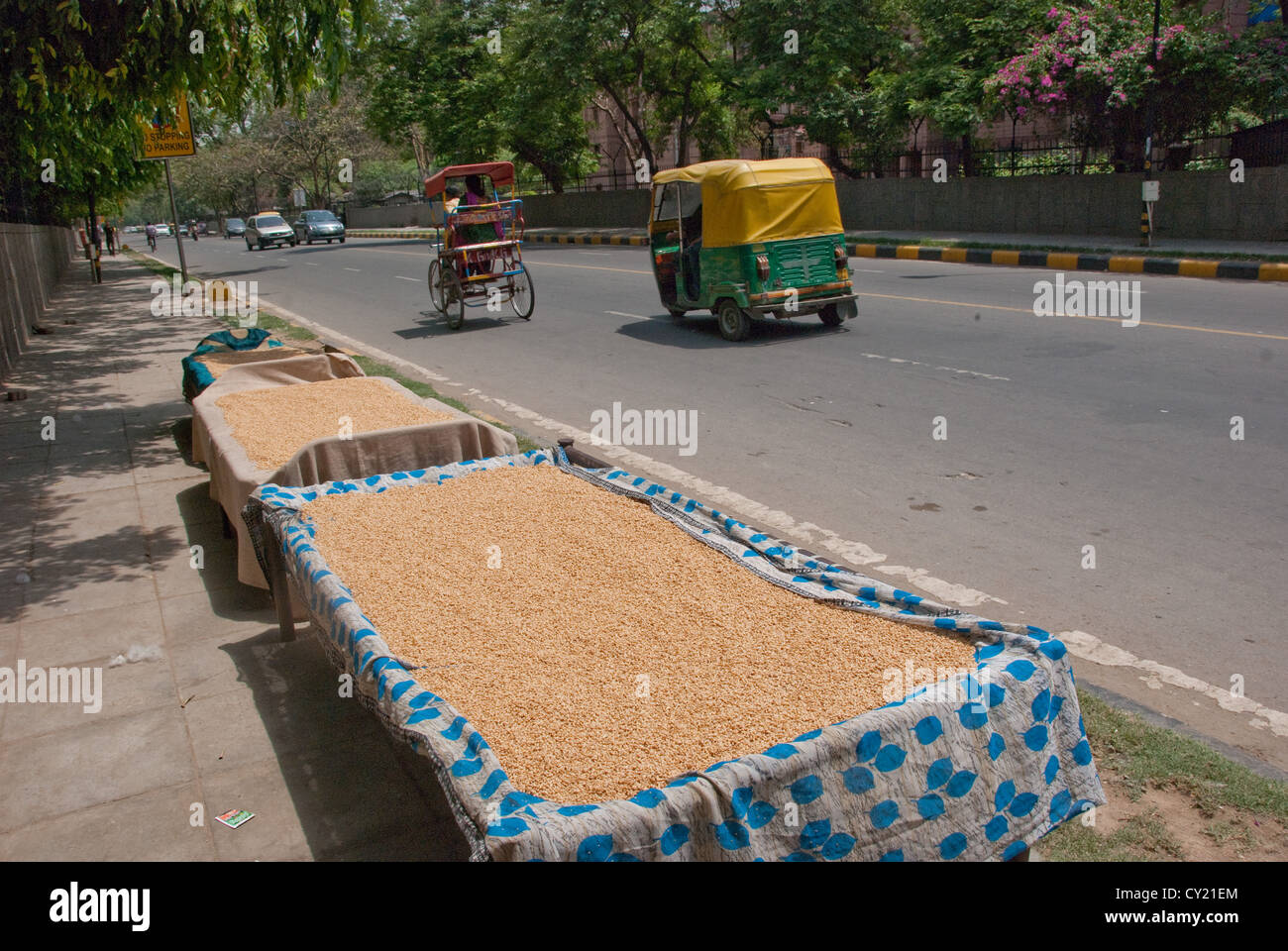 Il riso è steso su un letto di asciugare lungo una nuova strada di Delhi, India del capitale. Foto Stock