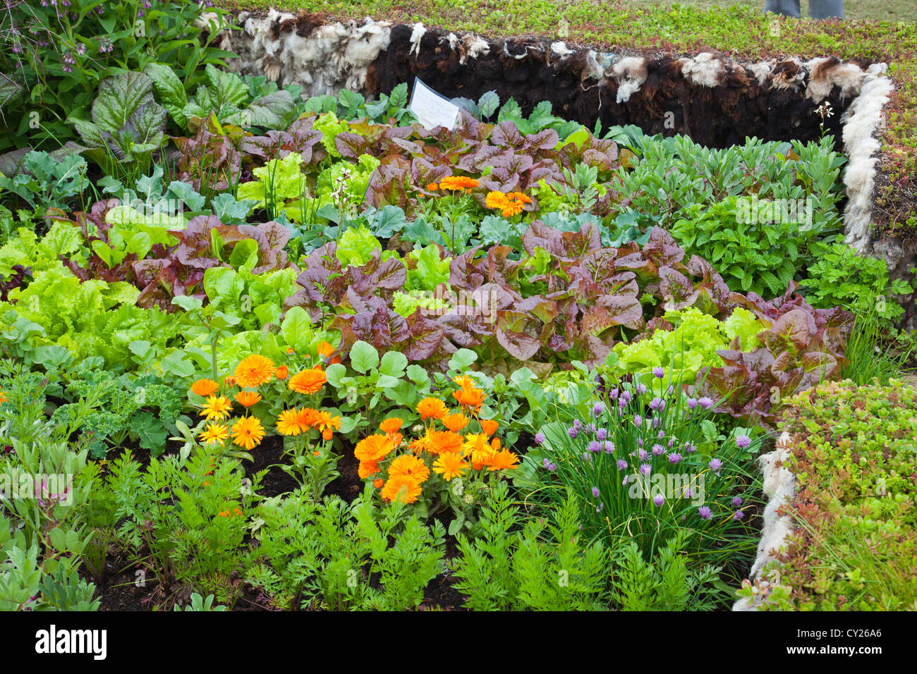 Un misto di orto recintato da un muro fatto da lana di pecora della RHS Malvern Visualizza, Worcestershire, England, Regno Unito Foto Stock