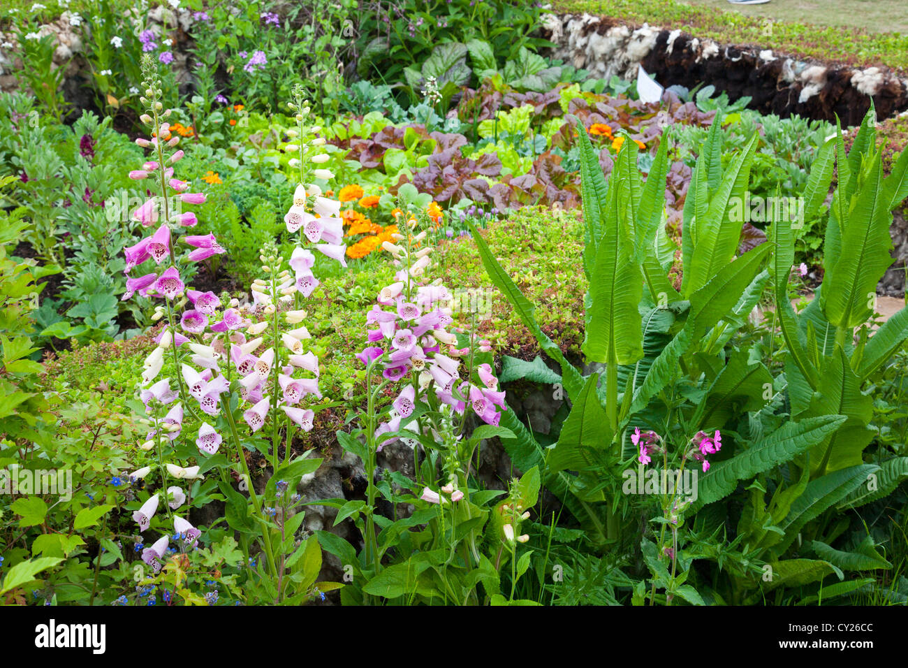 Un misto di orto recintato da un muro fatto da lana di pecora della RHS Malvern Visualizza, Worcestershire, England, Regno Unito Foto Stock