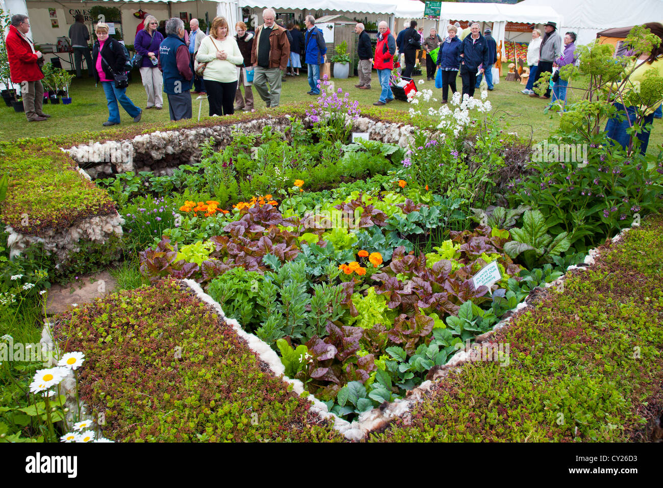 Un misto di orto recintato da un muro fatto da lana di pecora della RHS Malvern Visualizza, Worcestershire, England, Regno Unito Foto Stock
