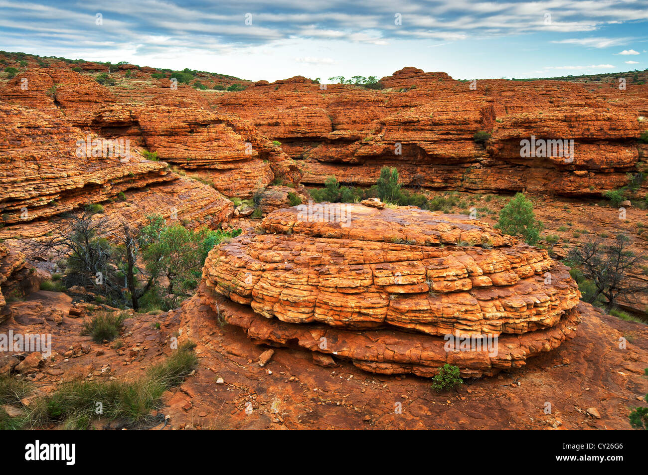 Le cupole del parco nazionale di Watarrka (Kings Canyon). Foto Stock