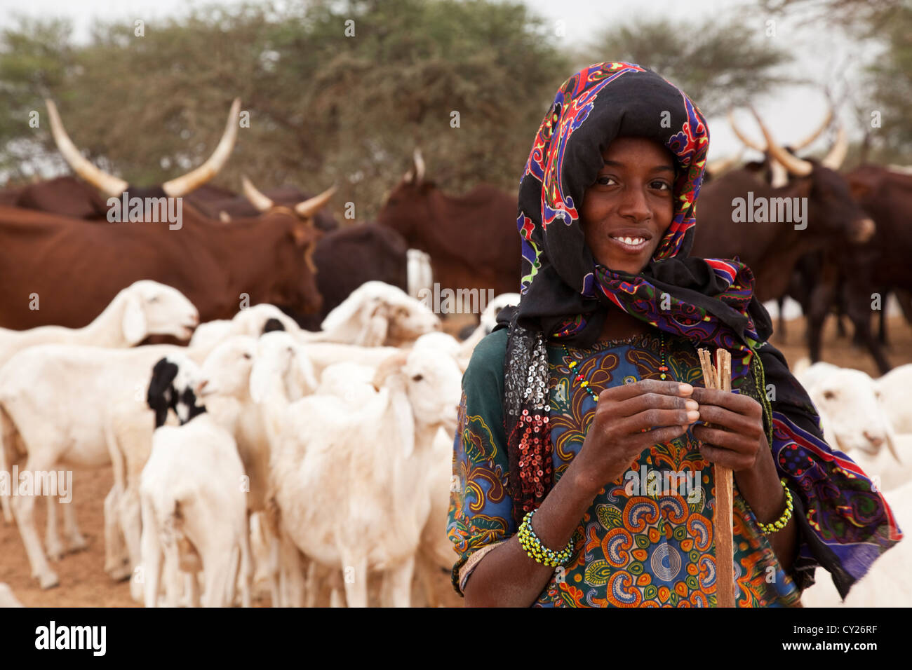 Il nomade Wodaabe ragazza è di pascolare il suo bestiame del Niger settentrionale, Africa Foto Stock