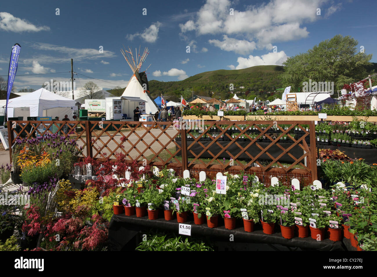 Uno dei tanti stand commerciali ed impianto si spegne al RHS Malvern Visualizza, Worcestershire, England, Regno Unito Foto Stock