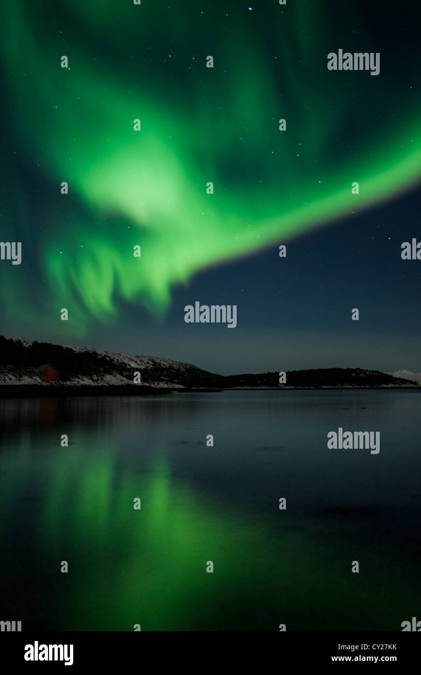 Luci del nord (Aurora boreale) riflettendo in acqua di un fiordo, Lofoten, nel nord della Norvegia Foto Stock