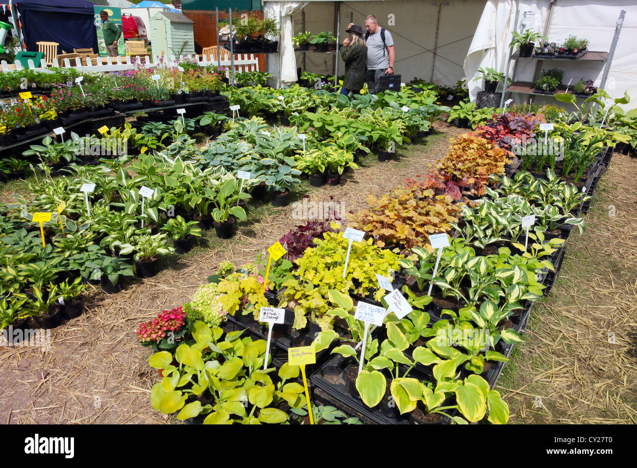 Uno dei molti coloratissimo stand commerciali ed impianto si spegne al RHS Malvern Visualizza, Worcestershire, England, Regno Unito Foto Stock