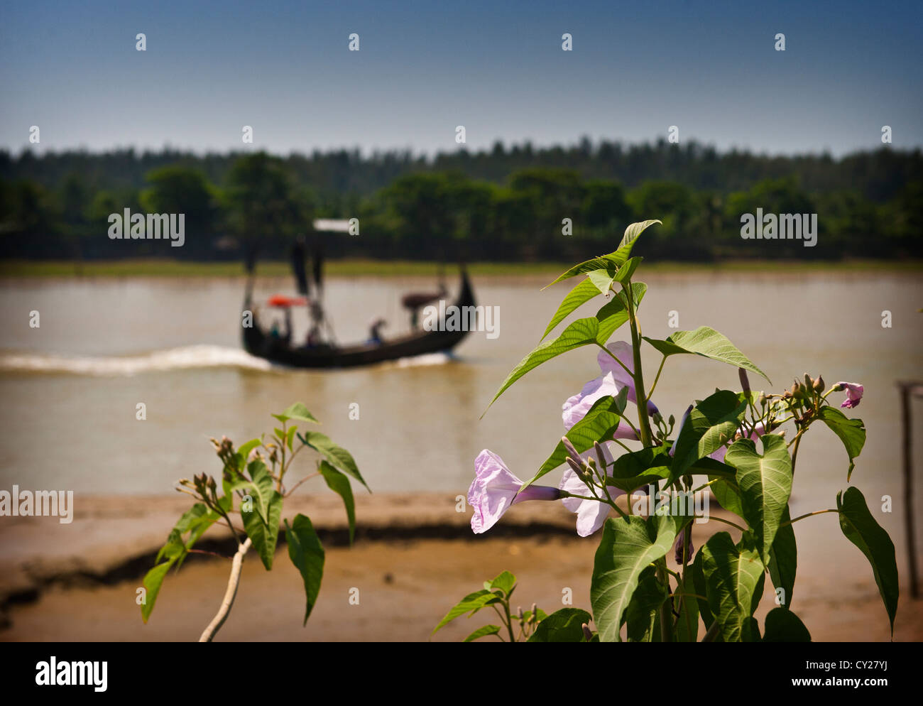 Barca da pesca, Bangladesh Foto Stock