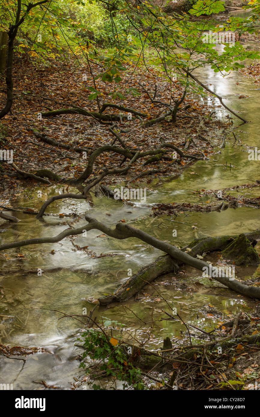 Autunno a Barton Springs, Bedfordshire Foto Stock
