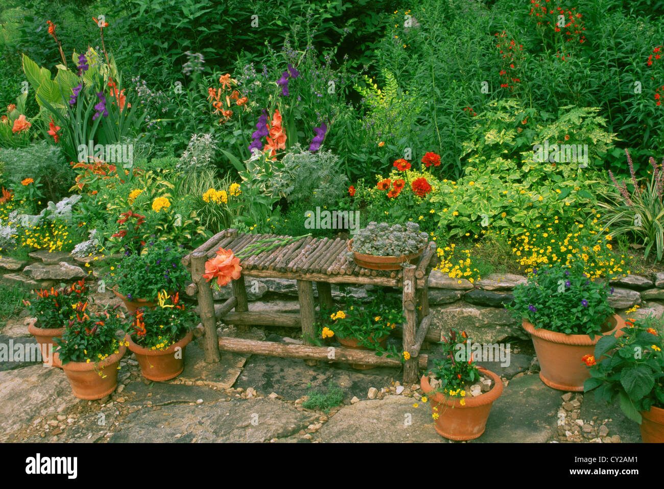 Happy orange garden estate con gladiolas, zinnias, succulente, chilis, coleus, cactus con una mano-costruito banco rustico su un camminamento lastricato, STATI UNITI D'AMERICA Foto Stock