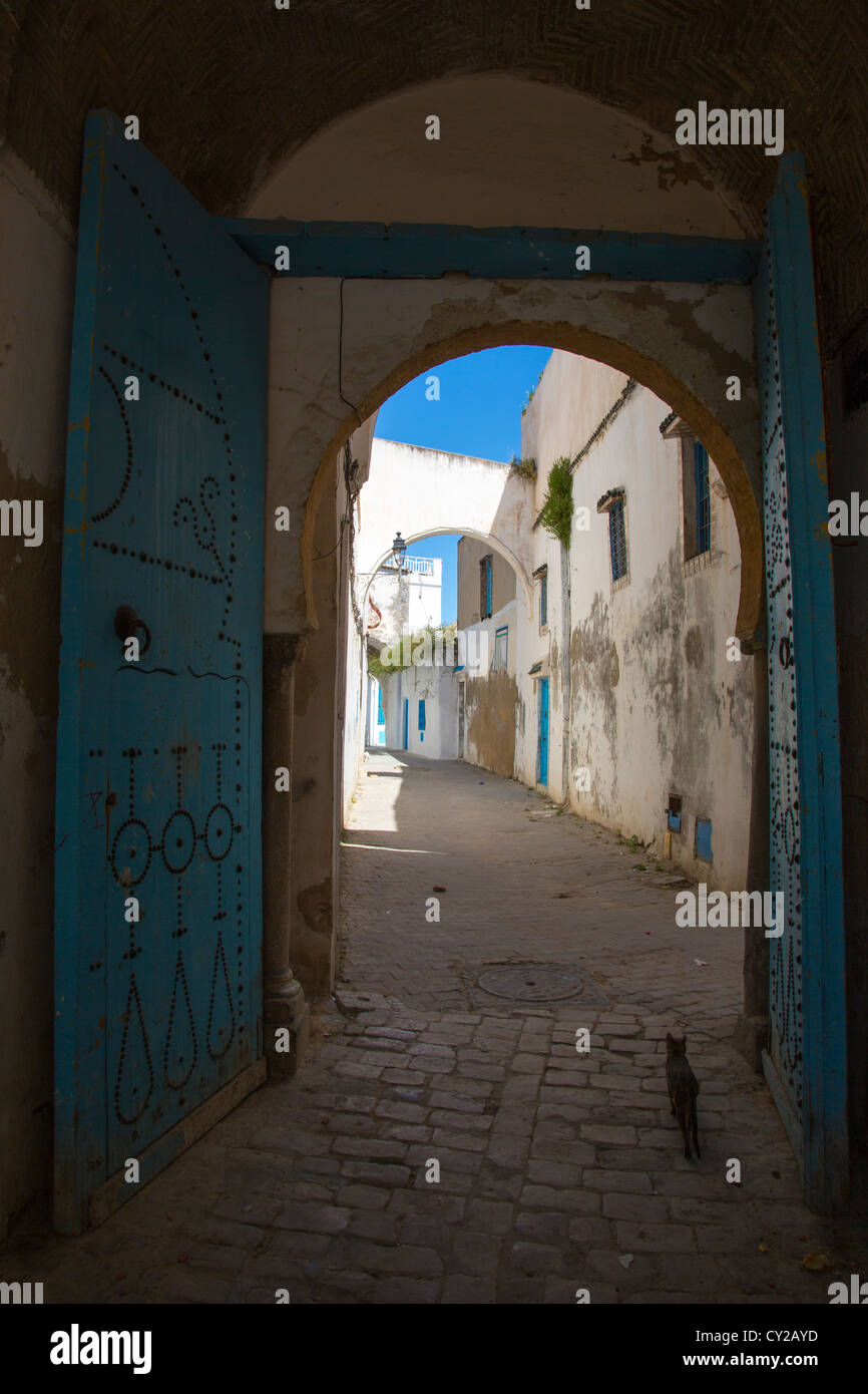 La Medina di Tunisi, Tunisi, Tunisia Foto Stock