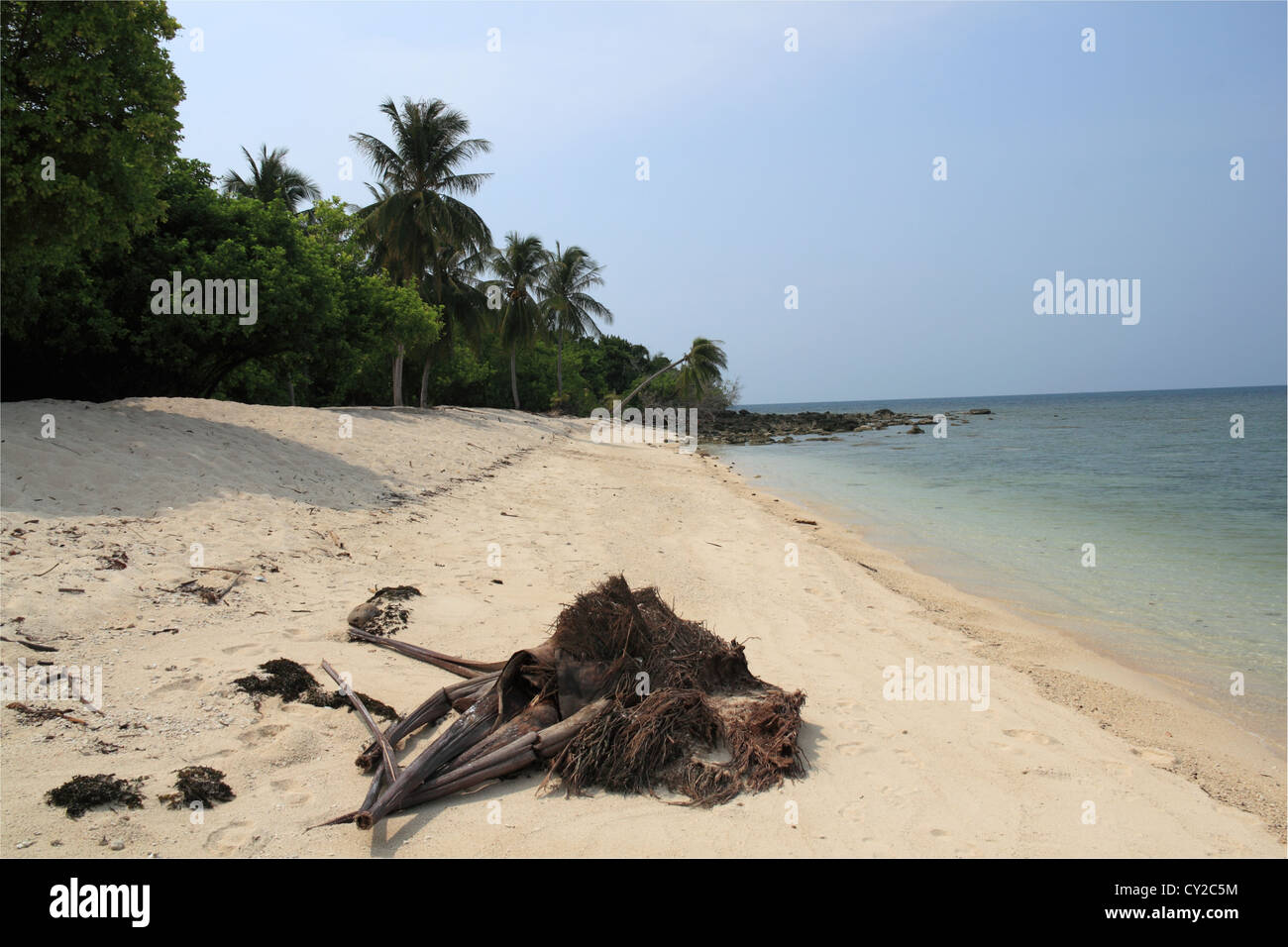 Sulla spiaggia di Selingan Island, Turtle Islands Park, il mare di Sulu, Sandakan district, Sabah Borneo, Malaysia, sud-est asiatico Foto Stock