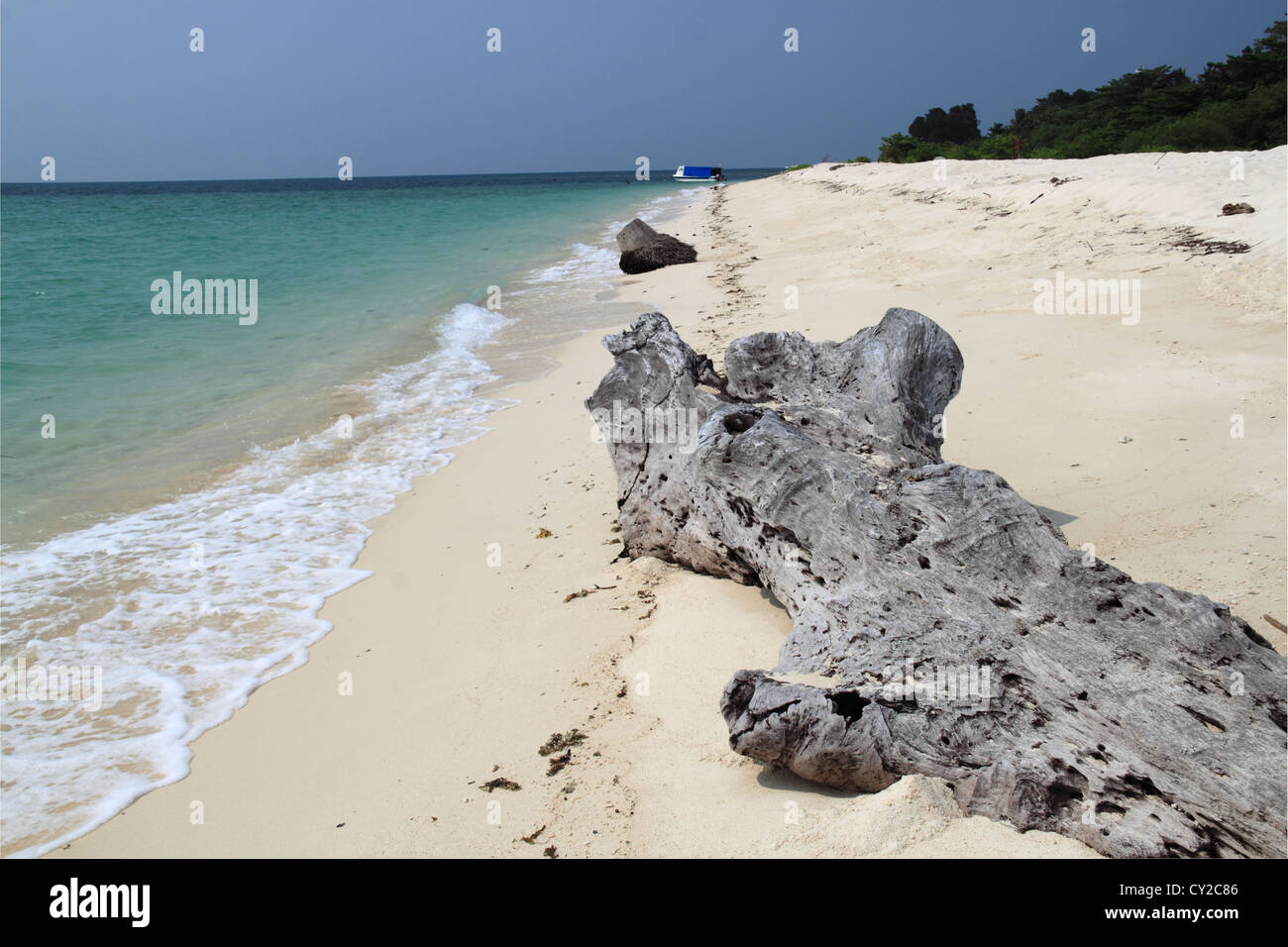 Sulla spiaggia di Selingan Island, Turtle Islands Park, il mare di Sulu, Sandakan district, Sabah Borneo, Malaysia, sud-est asiatico Foto Stock