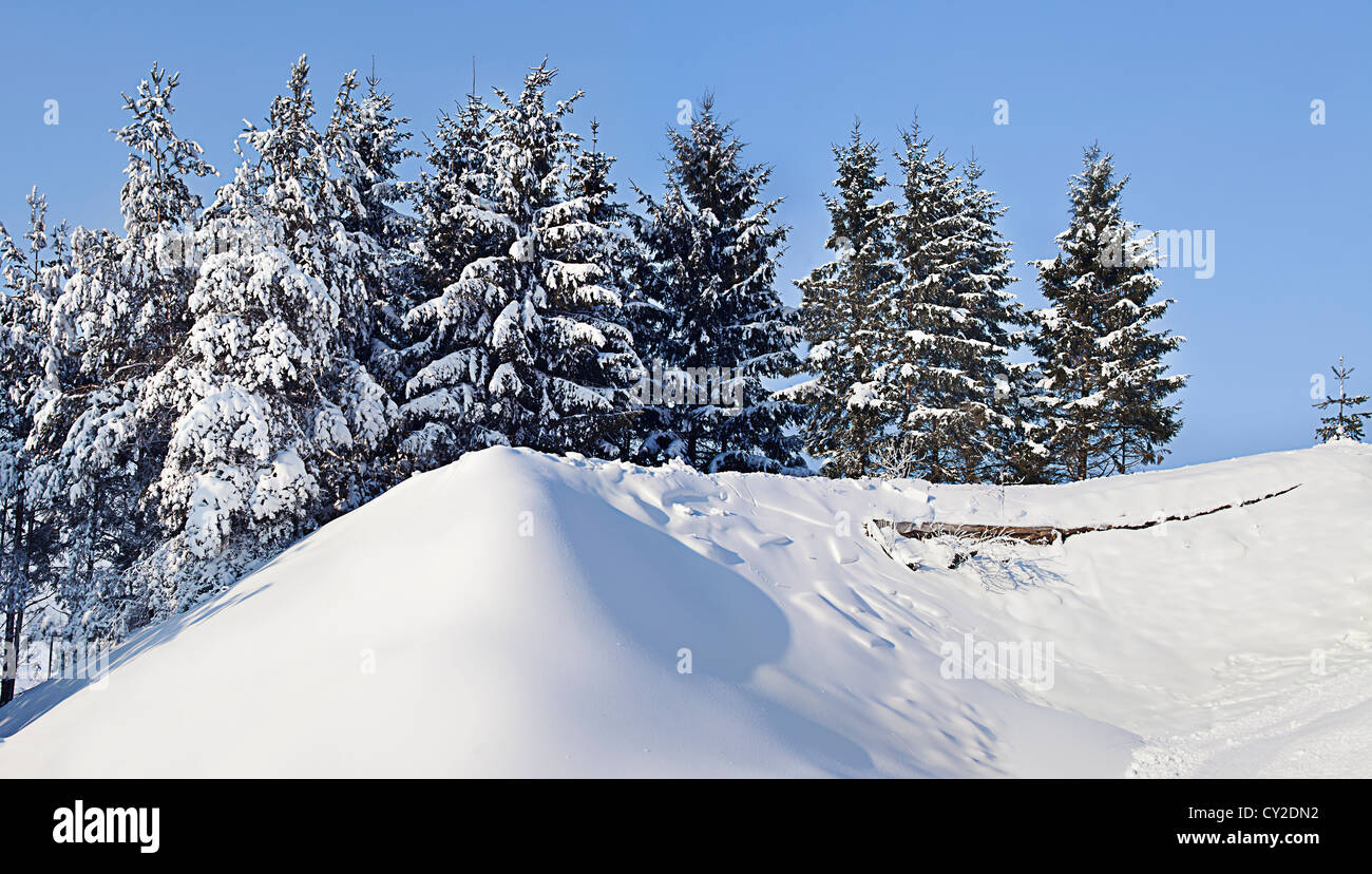Paesaggio invernale Foto Stock Paesaggio invernale Foto Stock