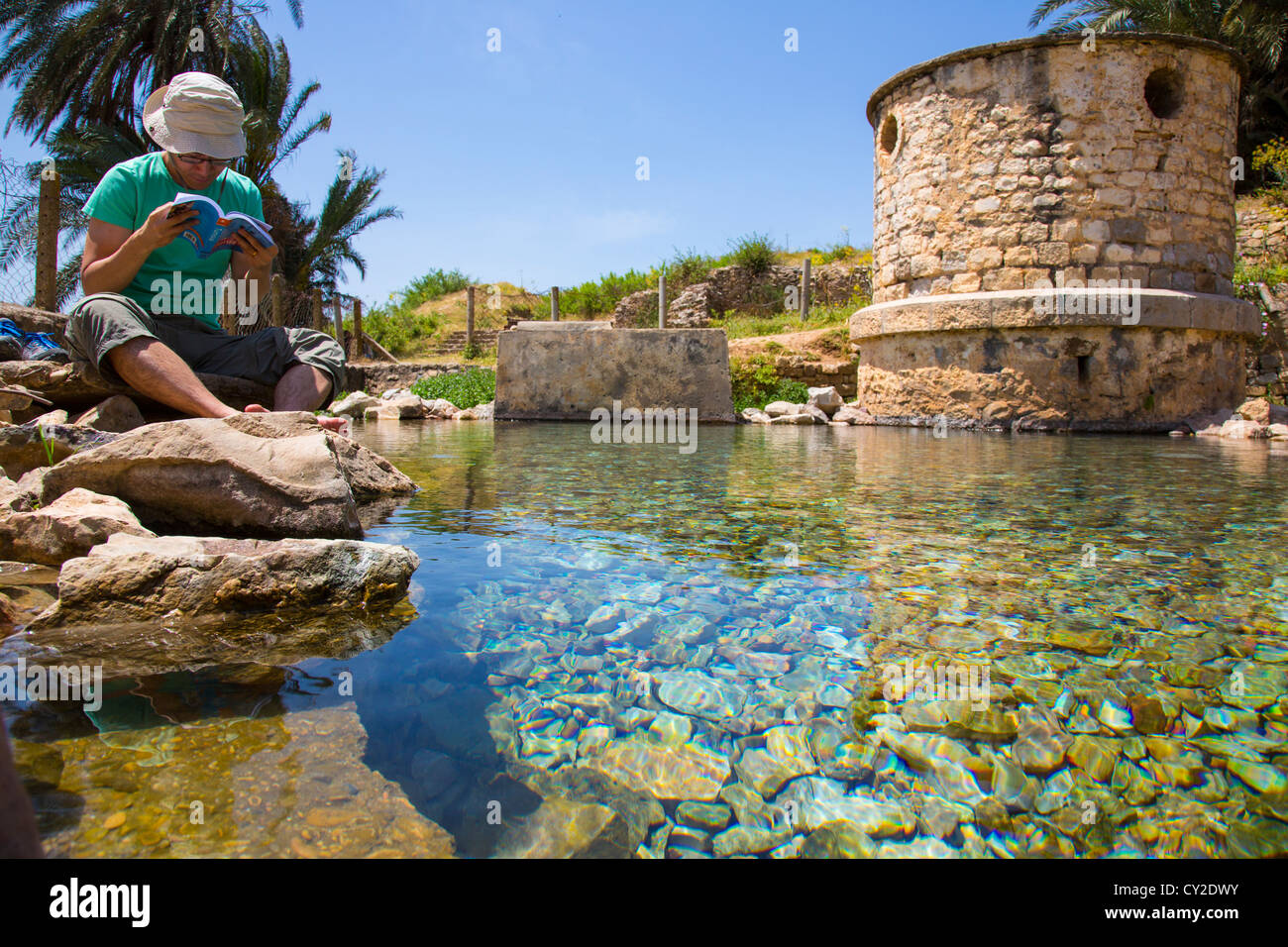Primavera naturale presso le rovine Romane di Bulla Regia vicino a Jendouba Tunisia Foto Stock