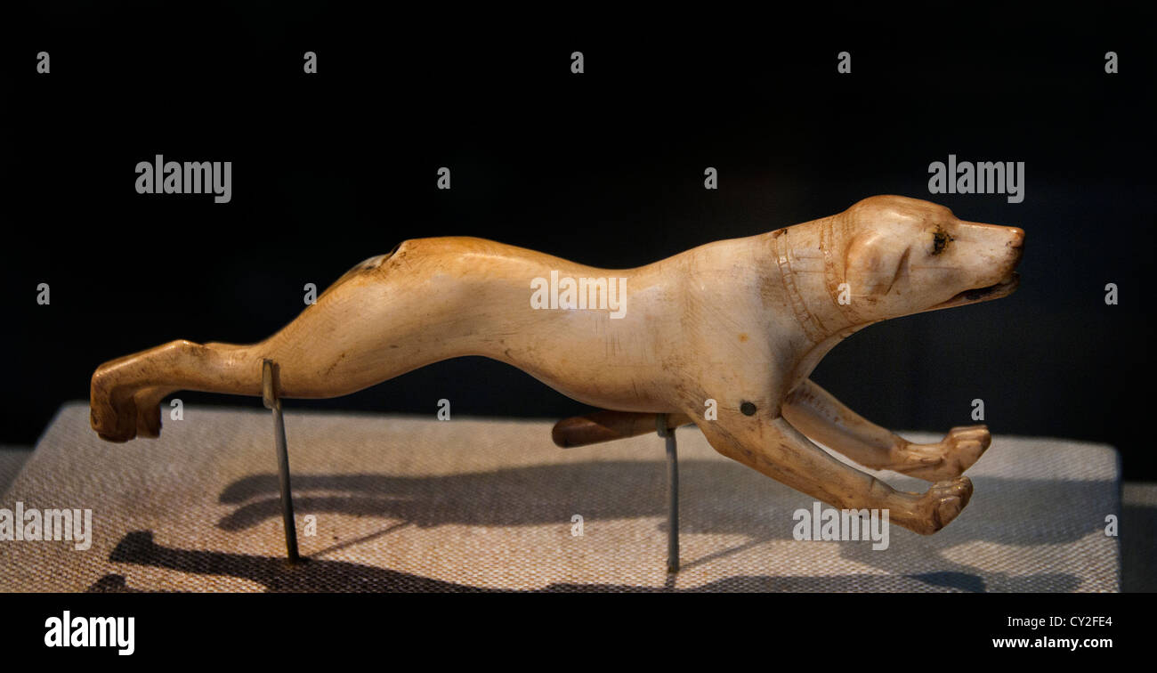 Dog avorio dinastia tardiva 18 1400-1350 BC egiziano Egitto Foto Stock