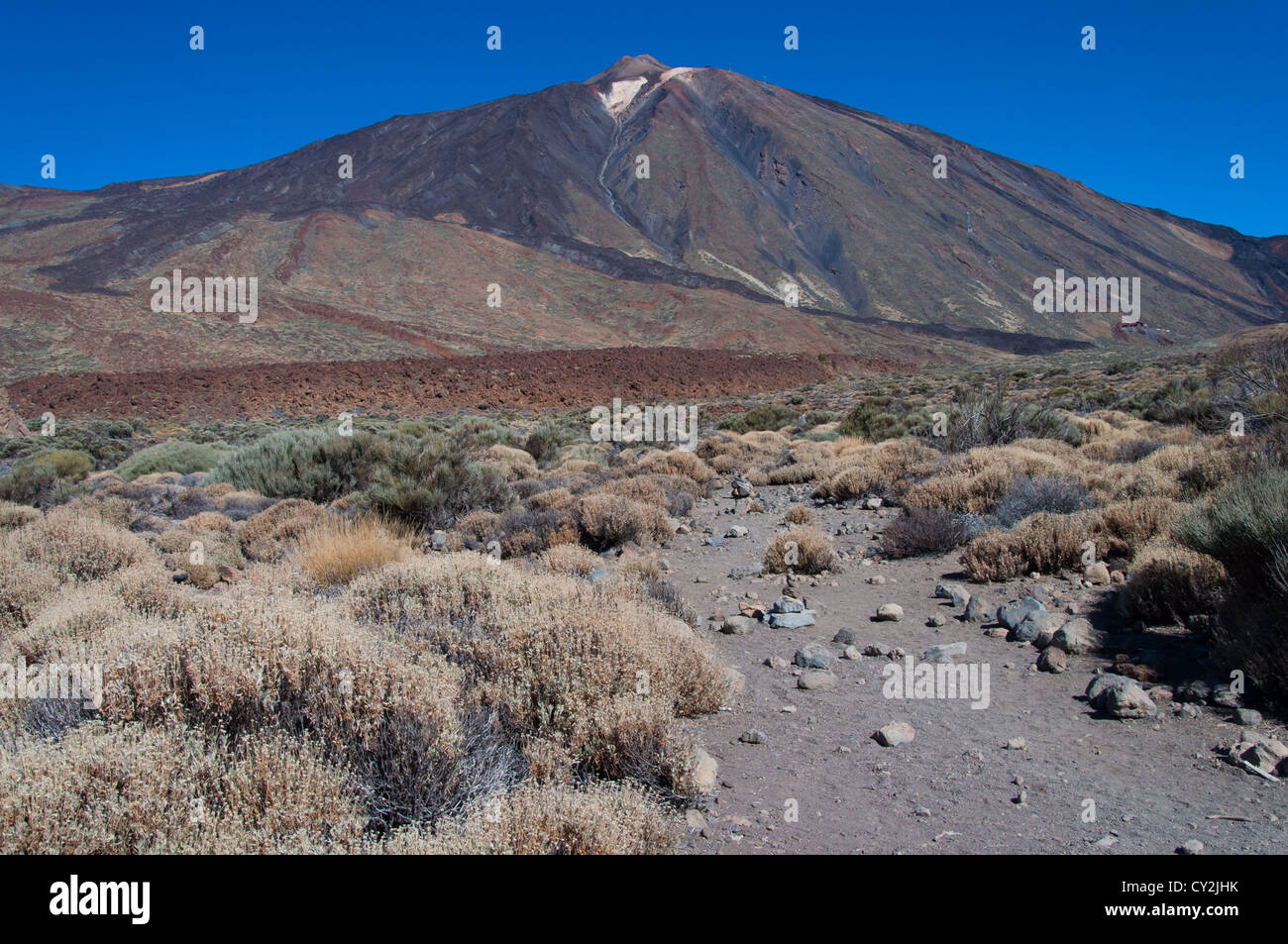 Tenerife vulcano Teide arido parco nazionale rock Foto Stock