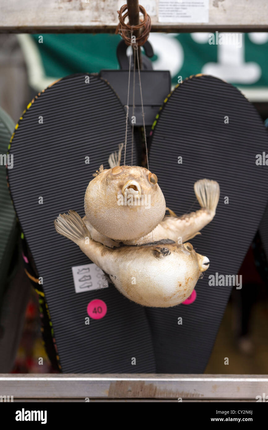 Gonfiato e essiccato tetraodontid pufferfish sulla vendita a fianco di sandali e flip-flop a una pressione di stallo di souvenir a Venezia. Foto Stock