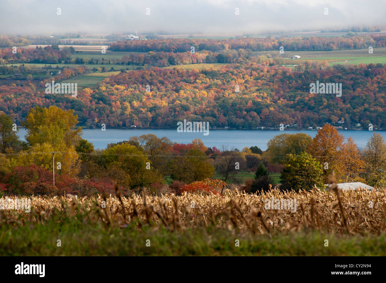 Autunno scena nella regione dei Laghi Finger, NY, USA. Foto Stock