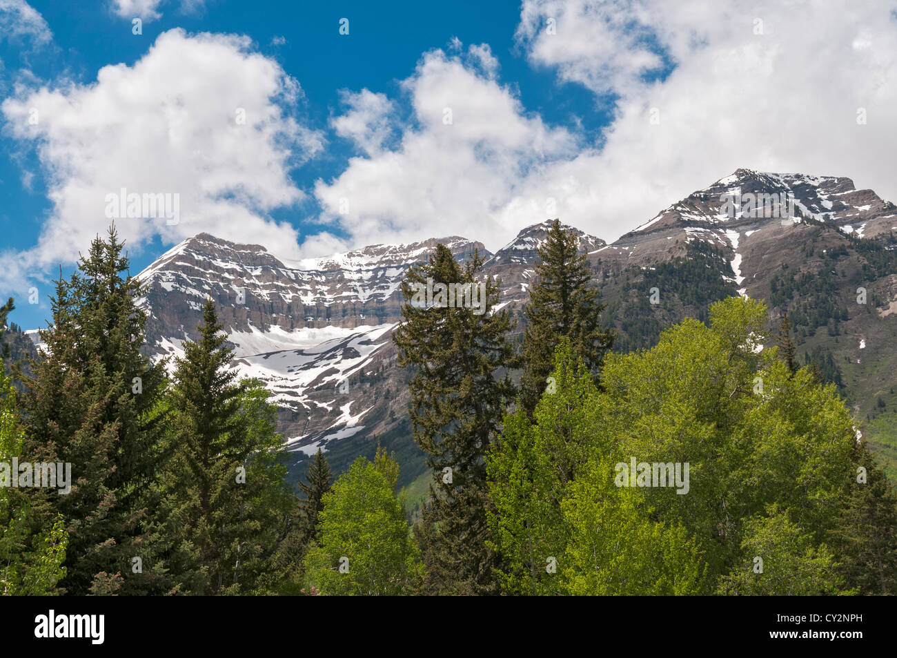 Utah, Sundance Resort, estate mountain view dalla seggiovia Foto Stock