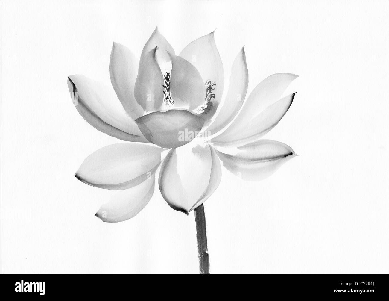 Arte originale, pittura ad acquarello di lotus, stile asiatico pittura Foto Stock