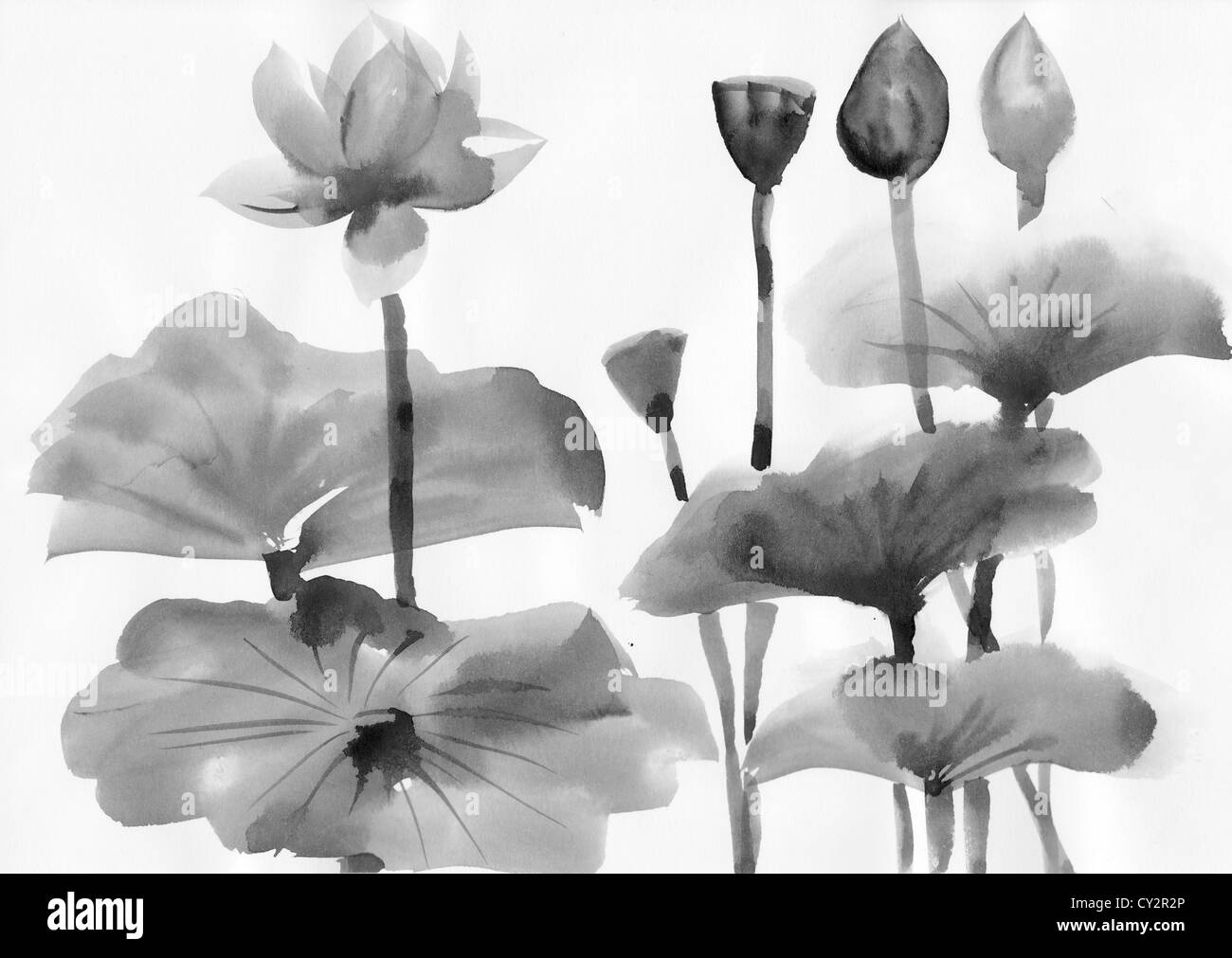 Arte originale, pittura ad acquarello di lotus, stile asiatico pittura Foto Stock