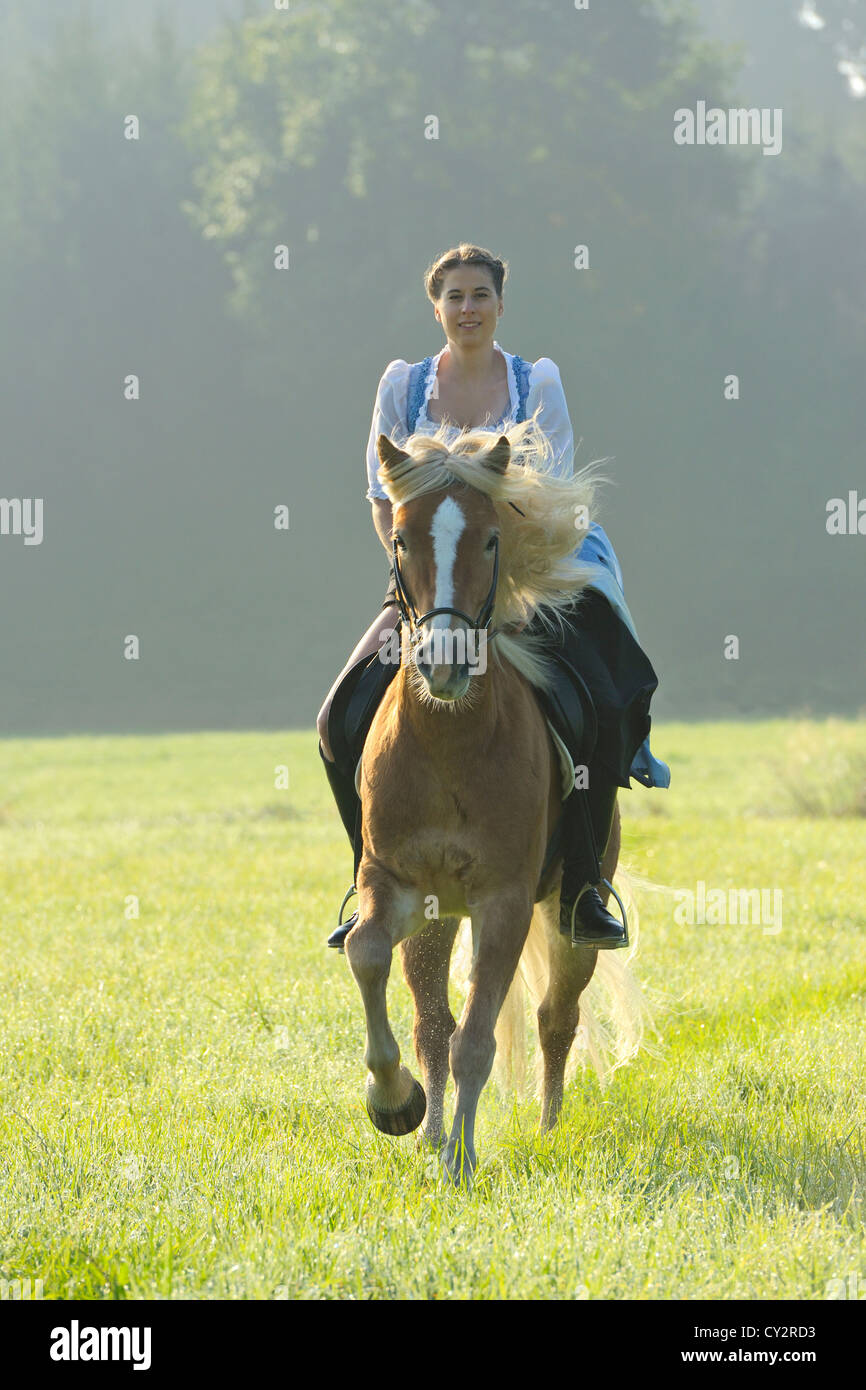 Giovane donna che indossa un vestito a cavallo sul dorso di un cavallo avelignese in tarda mattinata estiva Foto Stock