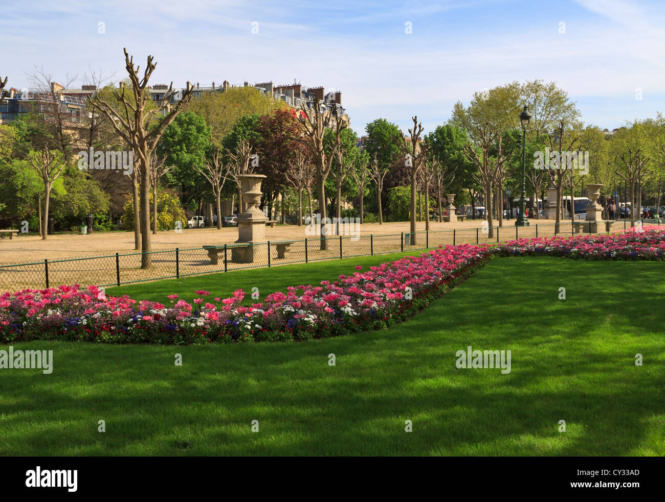 Fiori di Primavera e pollarded alberi in Champ de Mars, Parigi Foto Stock