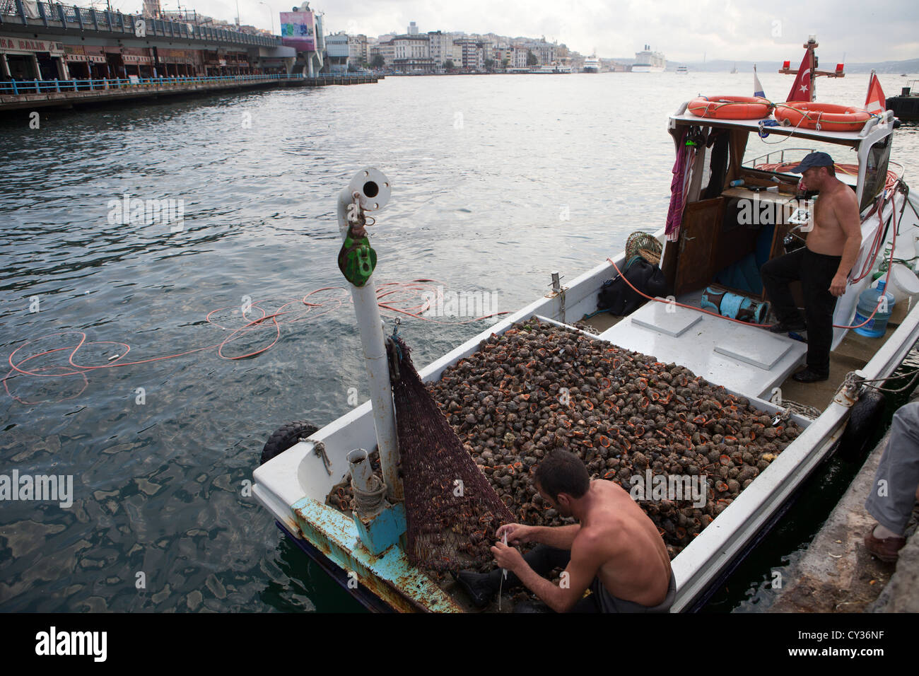 La pesca di cozze in il Bosforo, Istanbul Foto Stock