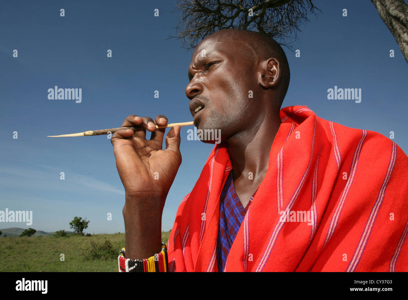 Maasai spazzolando i suoi denti Foto Stock