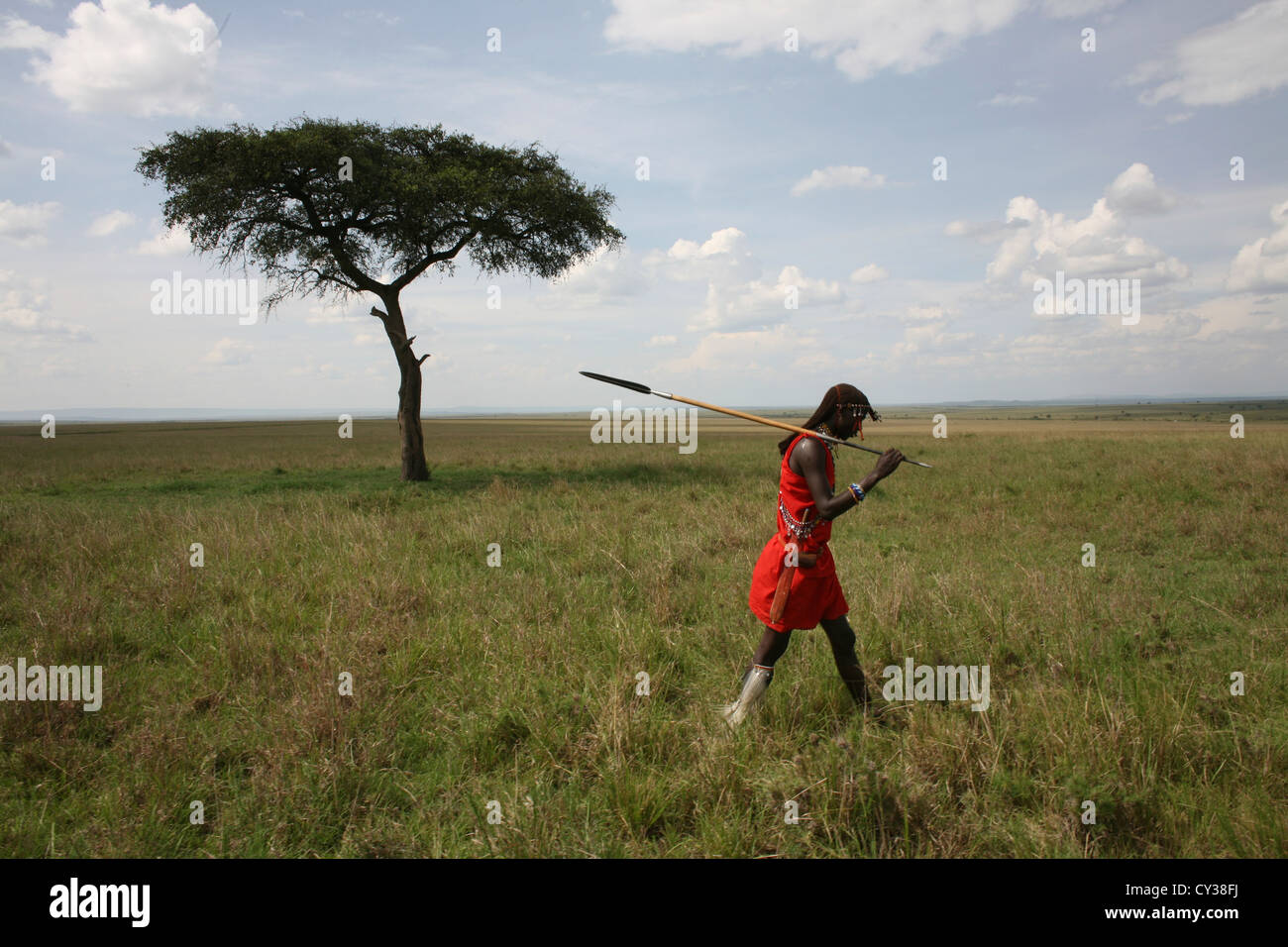 Tribù Masai in Kenya Foto Stock