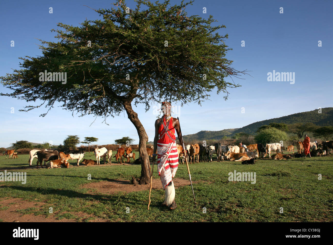 Tribù Masai in Kenya Foto Stock