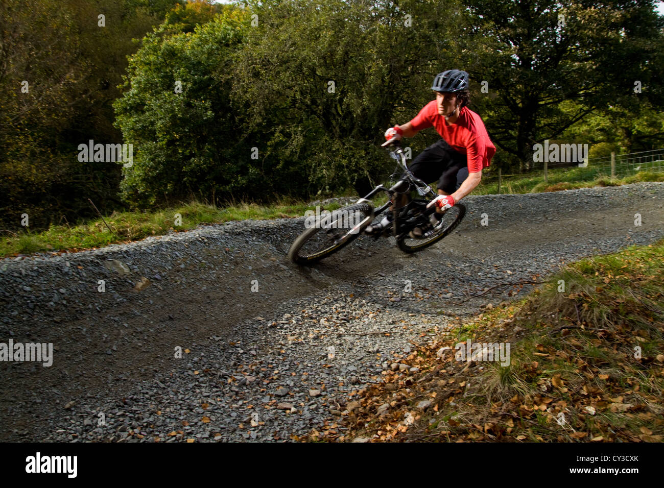 In discesa in mountain bike nel bosco Foto Stock