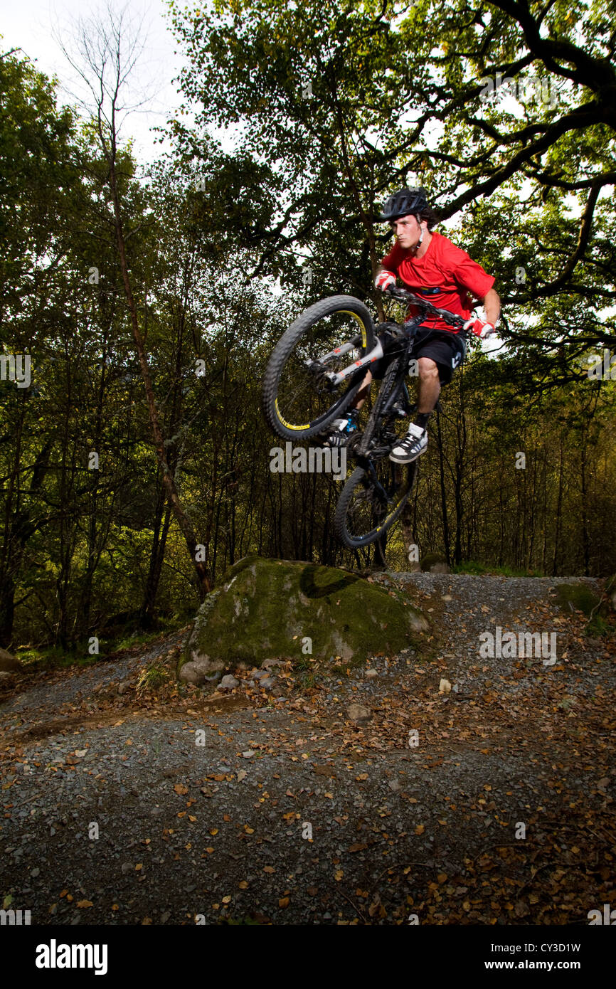 In discesa in mountain bike nel bosco Foto Stock