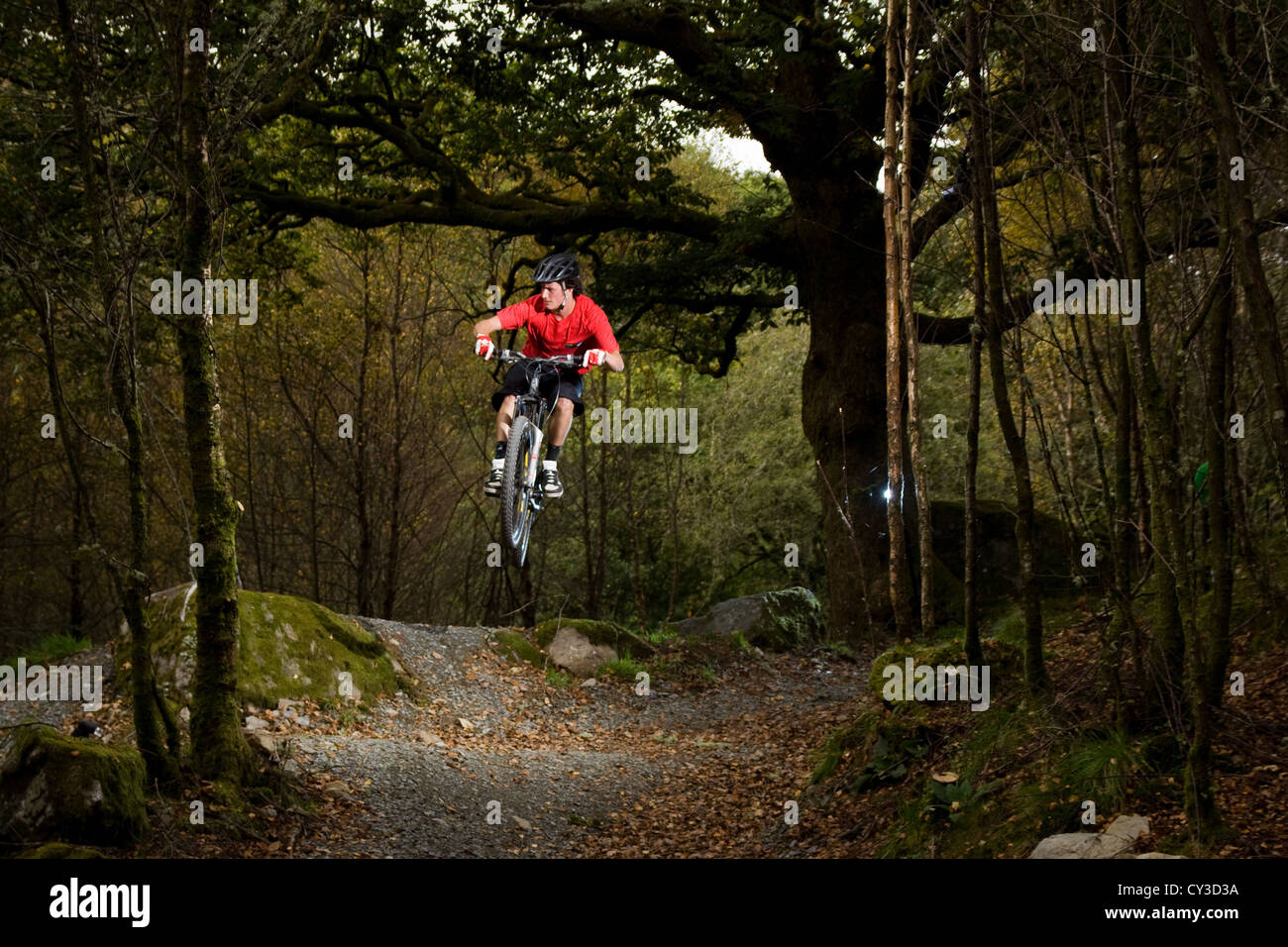 In discesa in mountain bike nel bosco Foto Stock