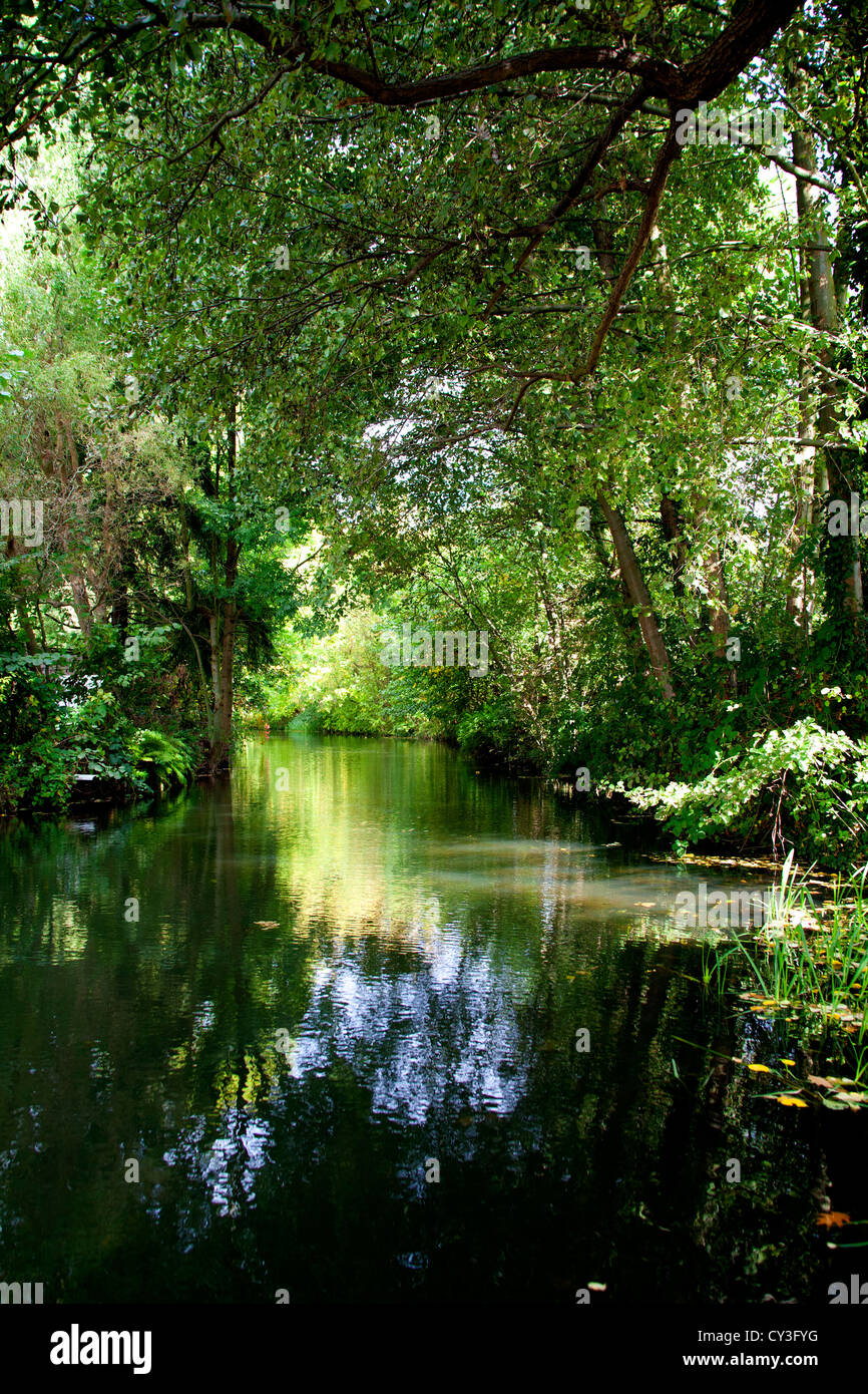 Lubbenau Spreewald Germania uno dei molti canali di Amsterdam Foto Stock