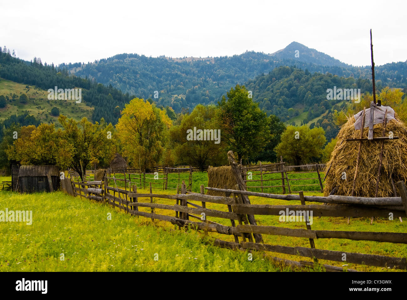 Paesaggio di montagne Ceahlau, durante la stagione autunnale Foto Stock