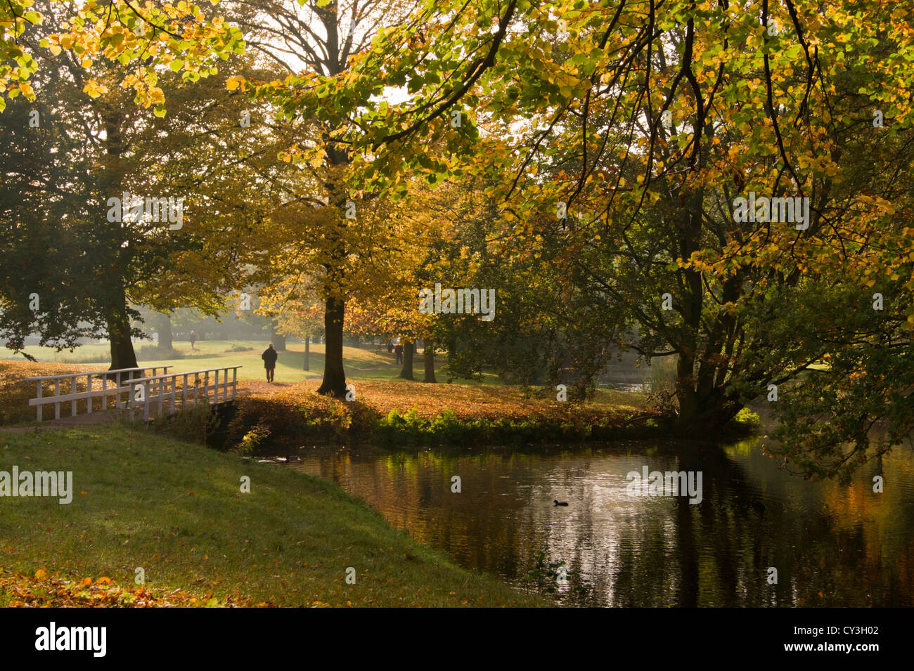 Walker nel parco Clingendael in autunno Foto Stock
