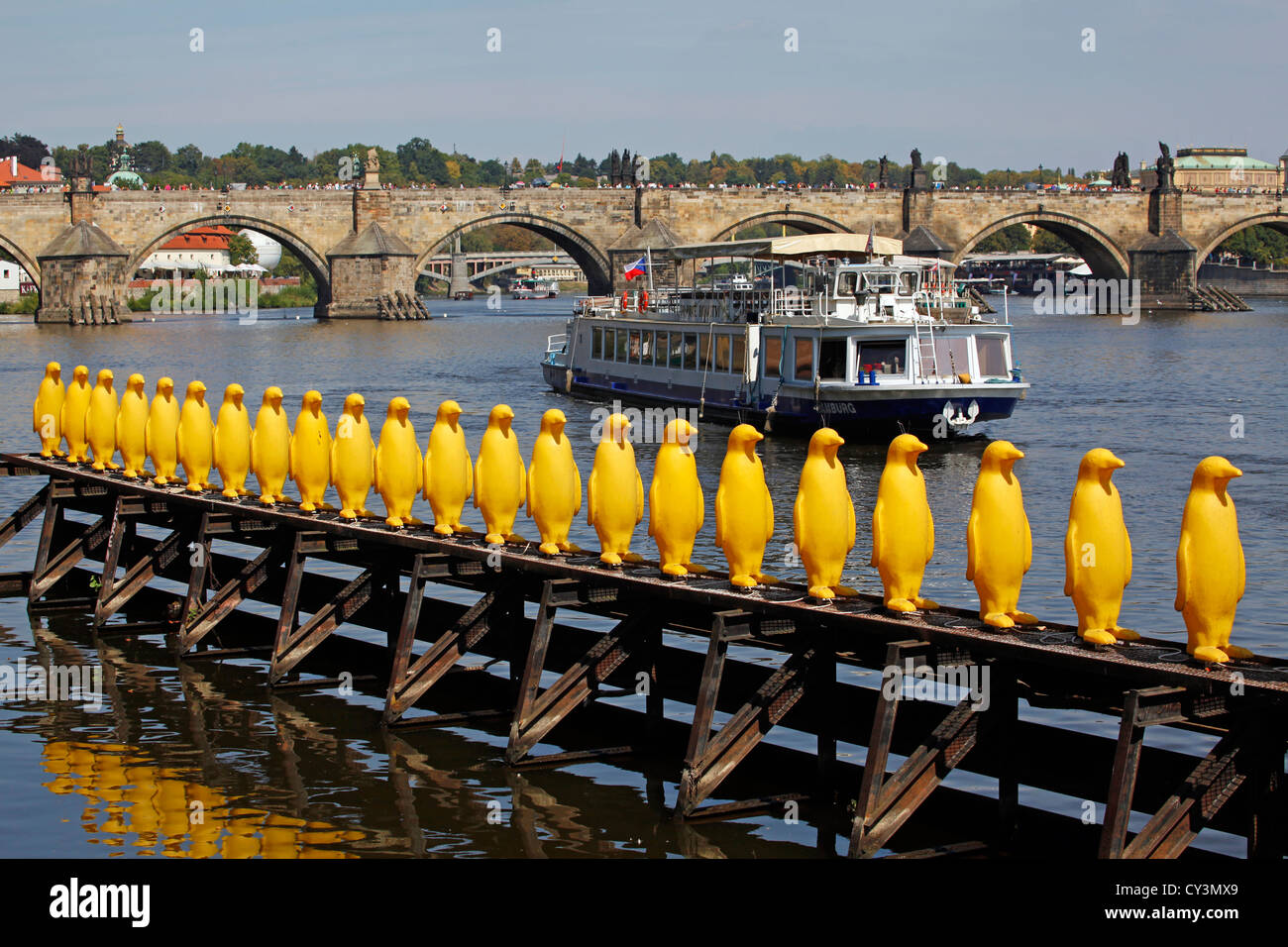 Fila di plastica gialla pinguini sul fiume Vtlava a Praga, Repubblica Ceca  Foto stock - Alamy