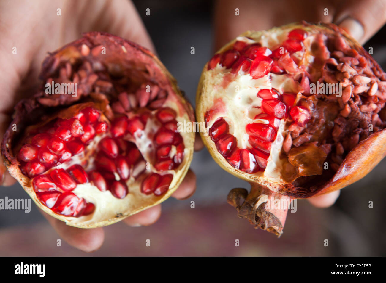 Pomgranate in Afghanistan Foto Stock