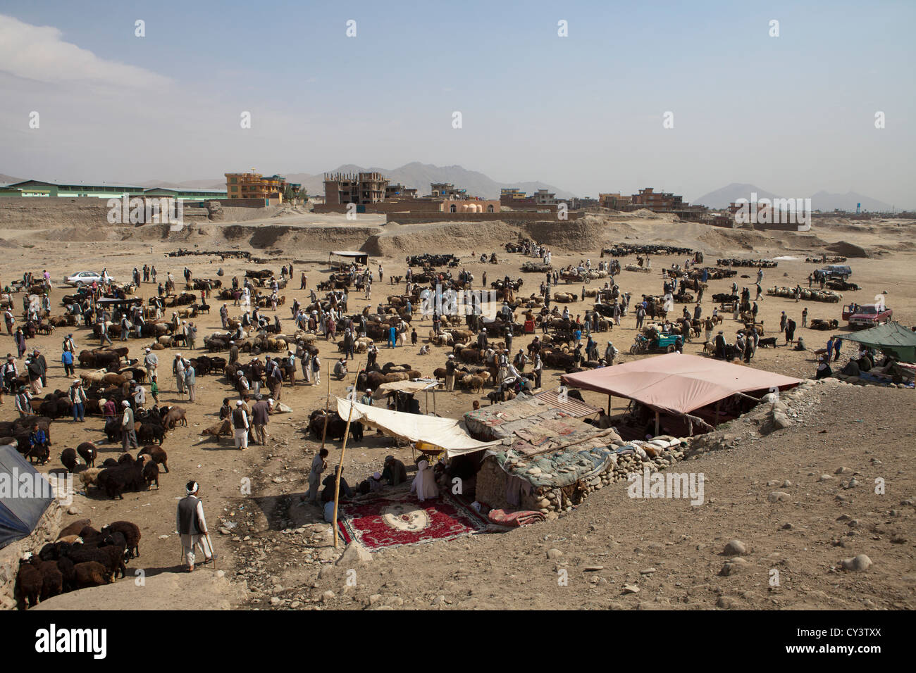 Mercato del bestiame a Kabul, Afghanistan Foto Stock